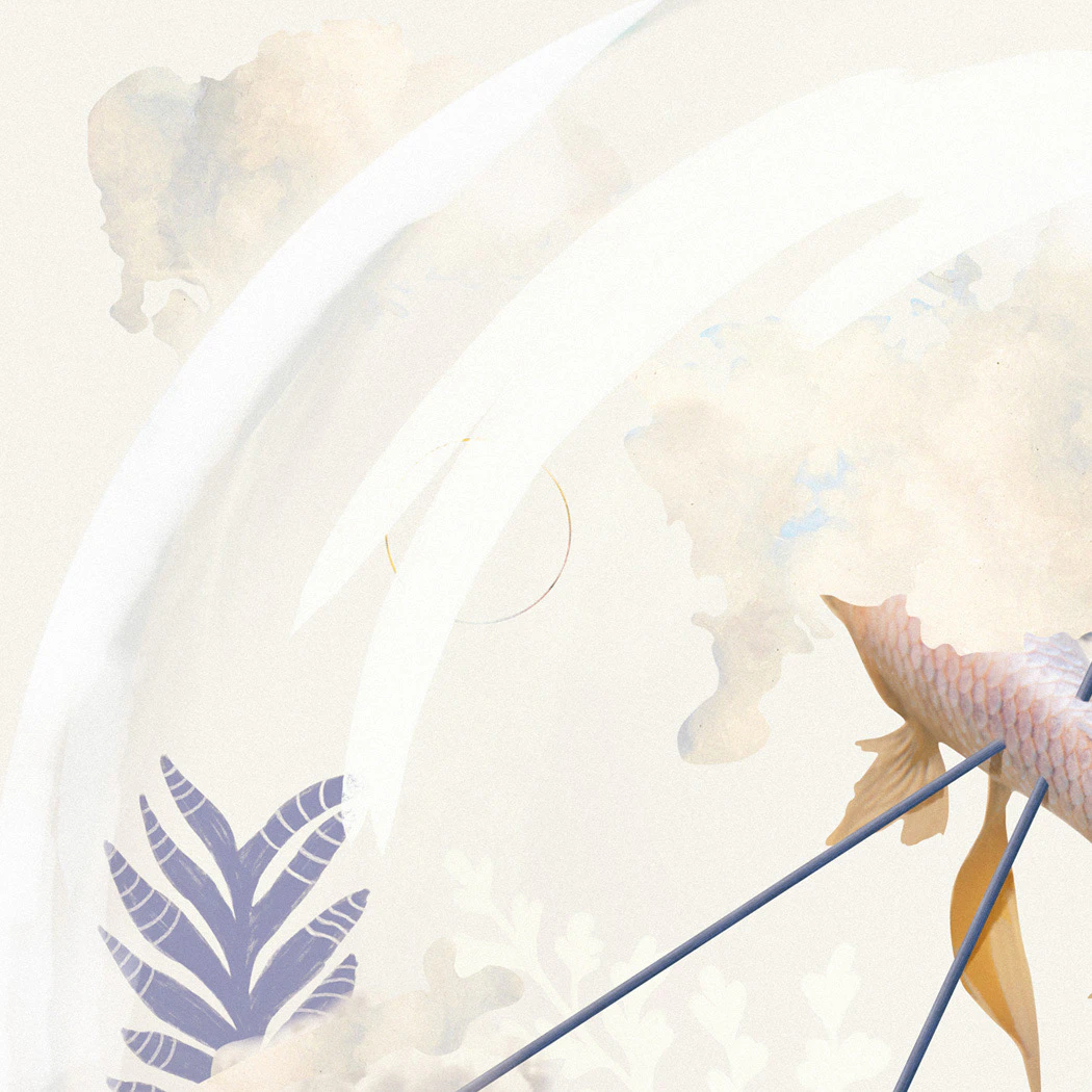  Flying fish by Marcos Morales...