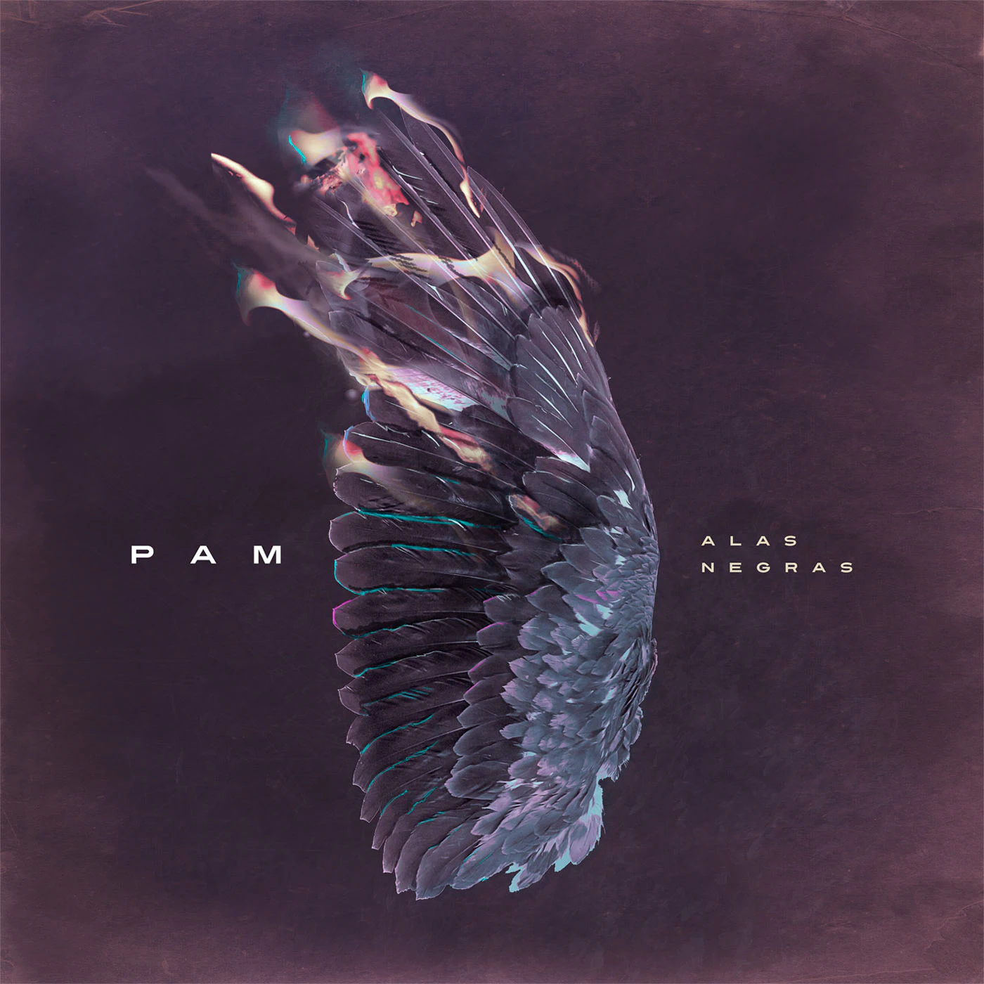 "Pam - Alas negras" cover artwork by Marcos Morales...