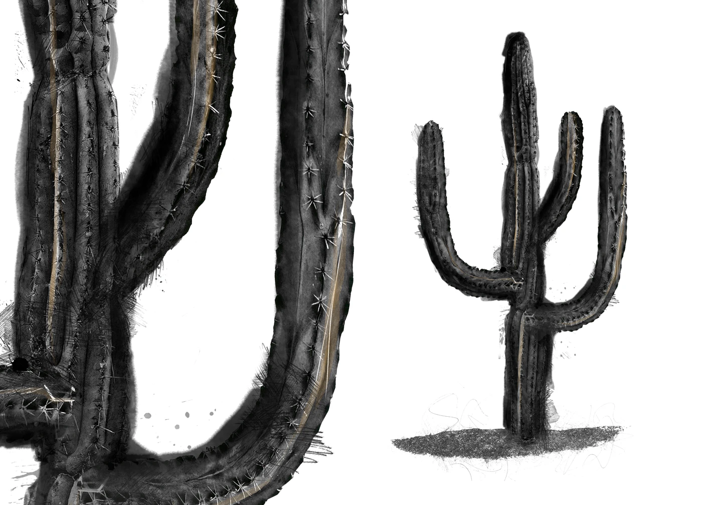 Noches de Palacio - illustrations by Marcos Morales...