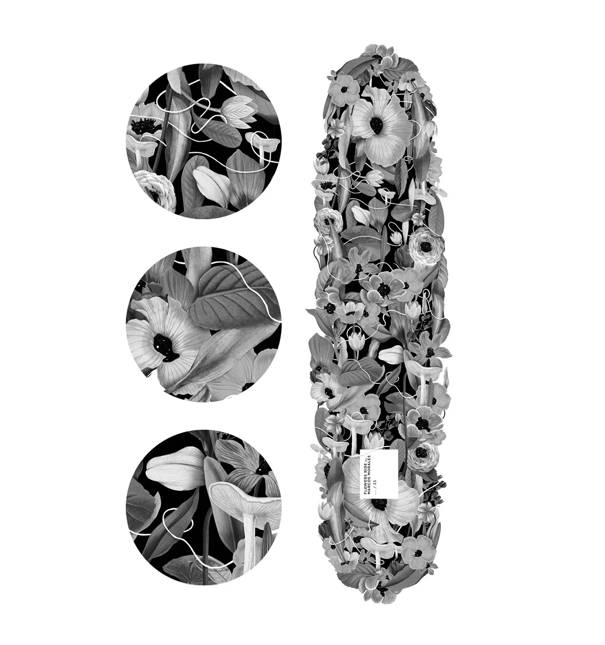Longboard skate design by Marcos Morales...