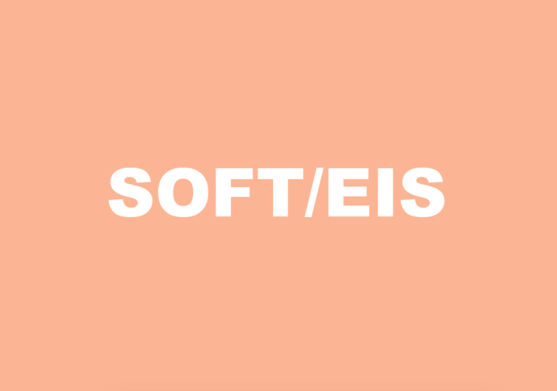 soft-eis-zine-submission-call-out-artconnect