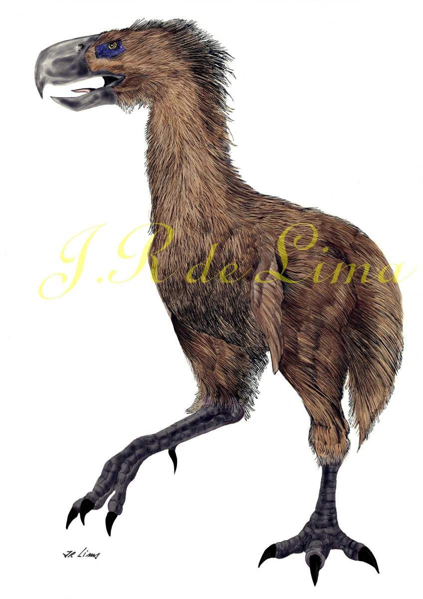 Paraphysornis brasilensis- pre historic bird