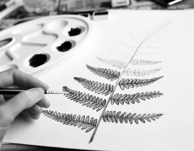 Fern  by Nika...