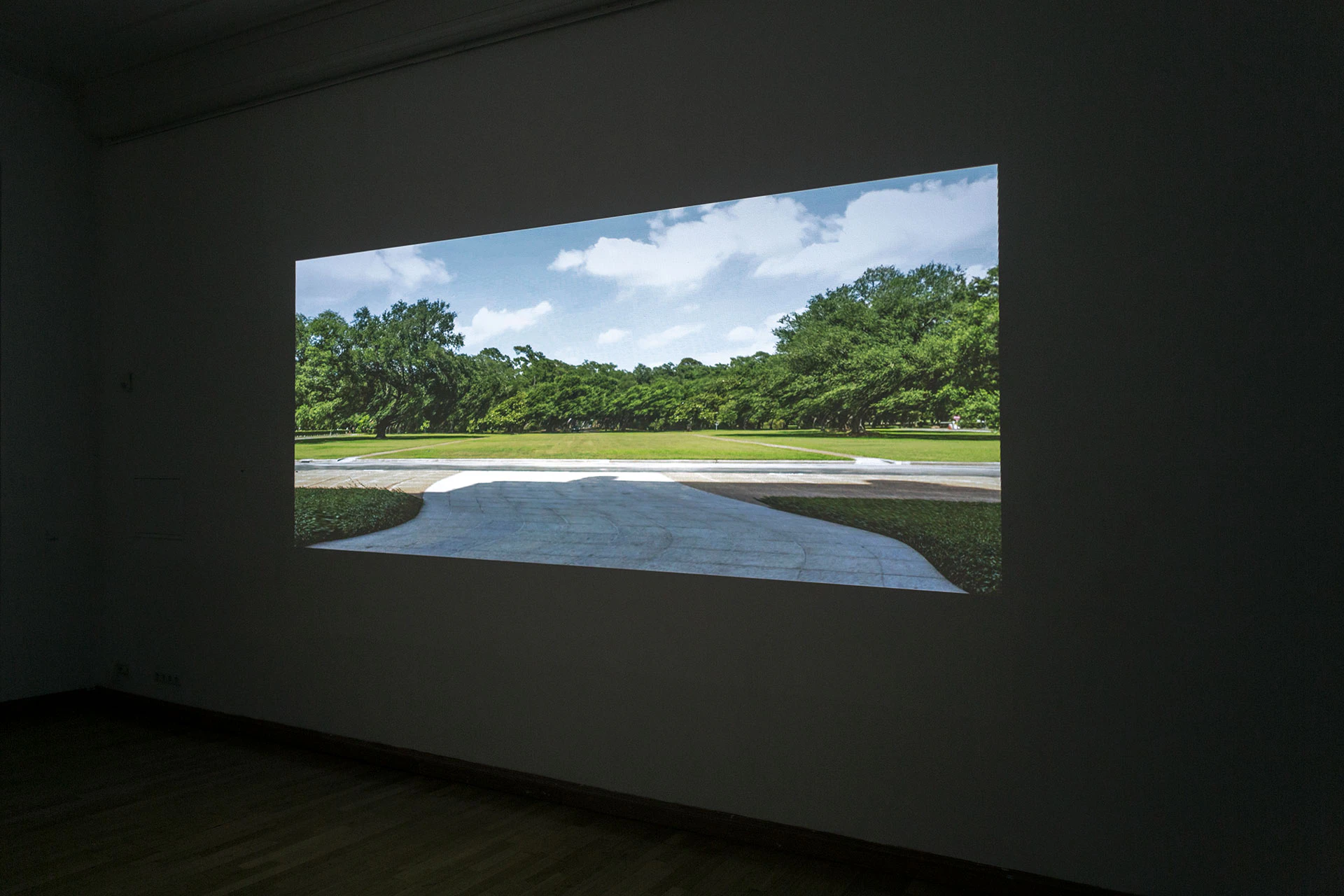 Field of Depth by Jessica Arseneau...