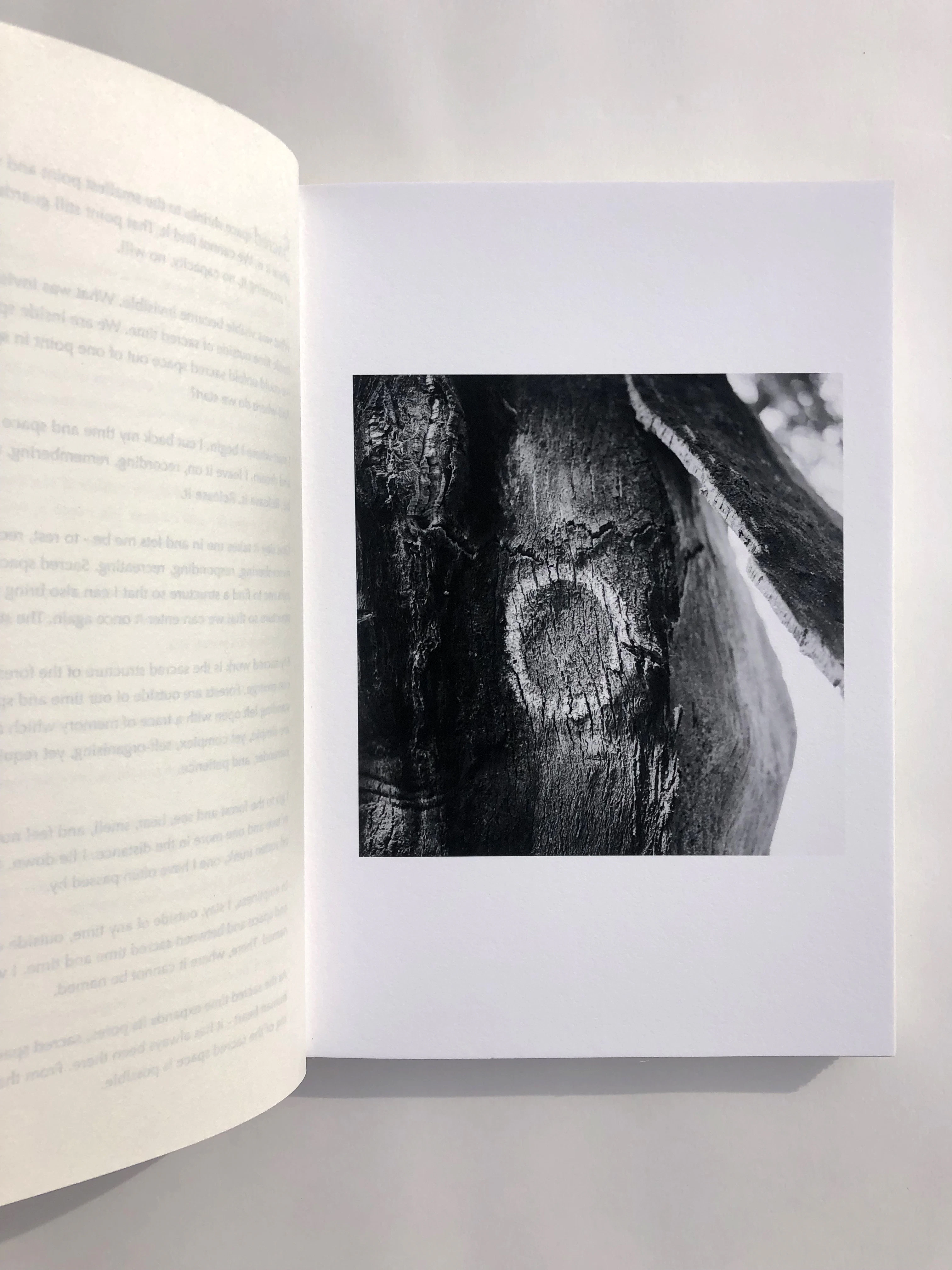 Eternal Forest Manifesto artist's book by Evgenia Emets...