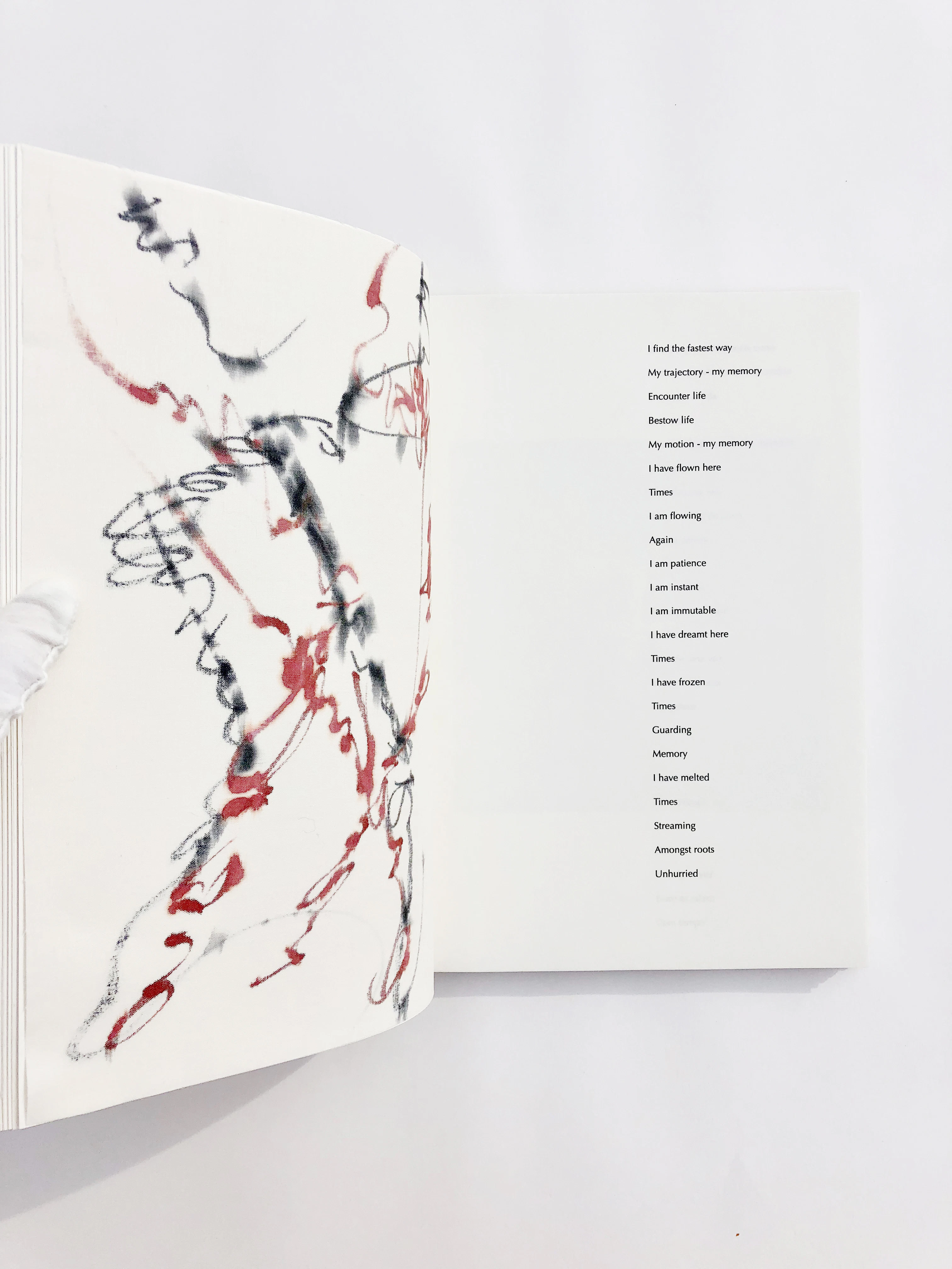 Eternal Forest Manifesto artist's book by Evgenia Emets...