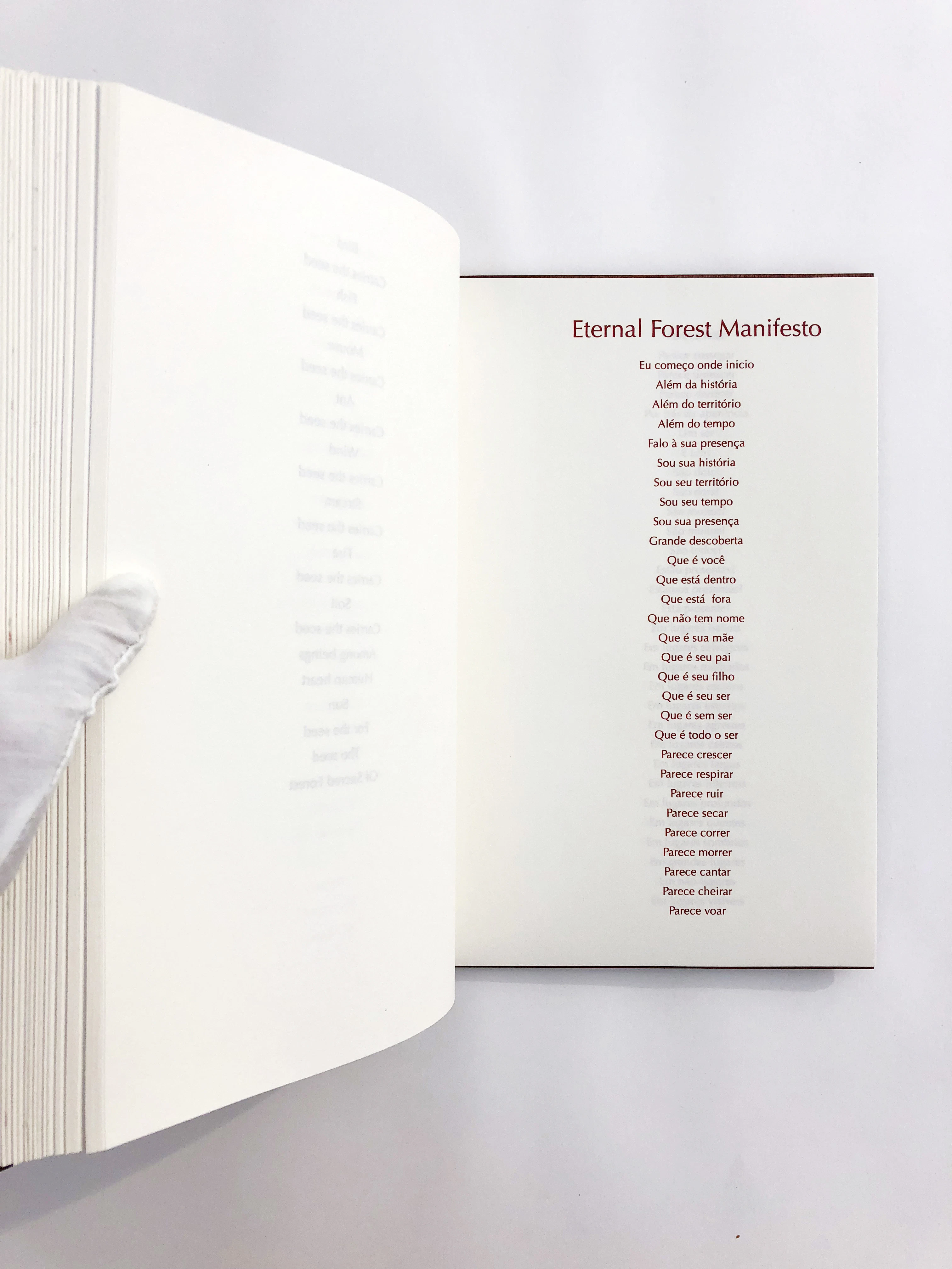 Eternal Forest Manifesto artist's book by Evgenia Emets...