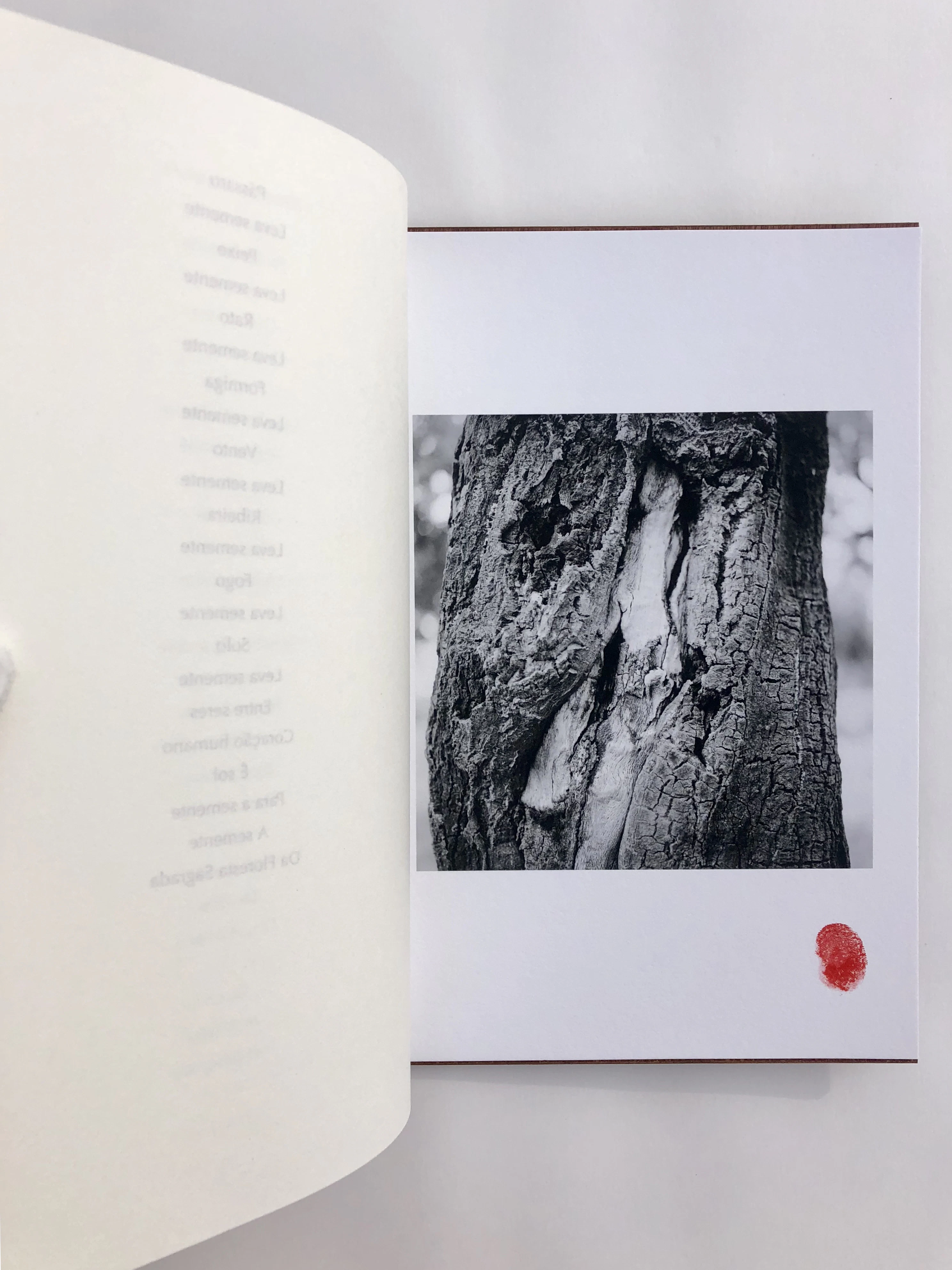 Eternal Forest Manifesto artist's book by Evgenia Emets...