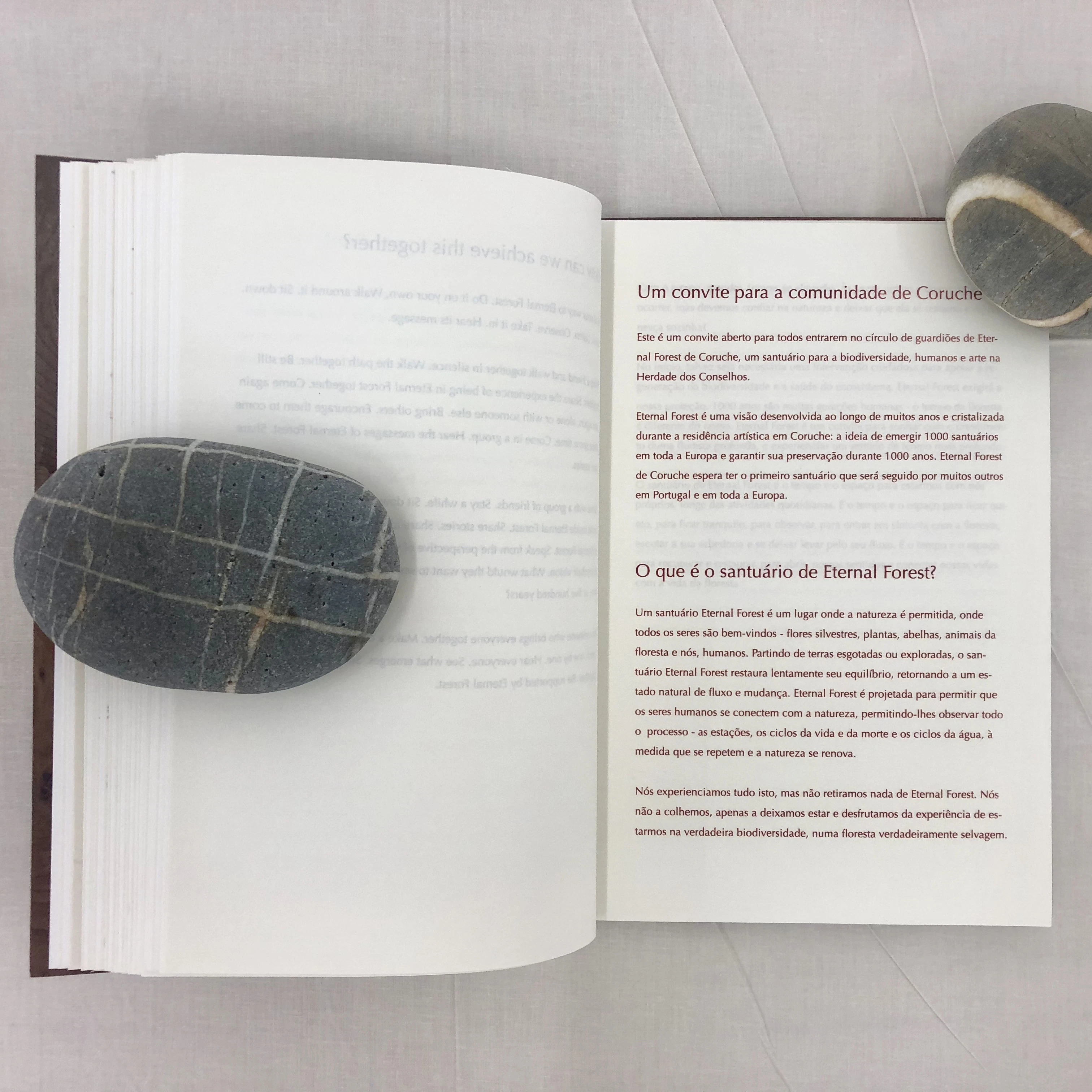 Eternal Forest Manifesto artist's book by Evgenia Emets...