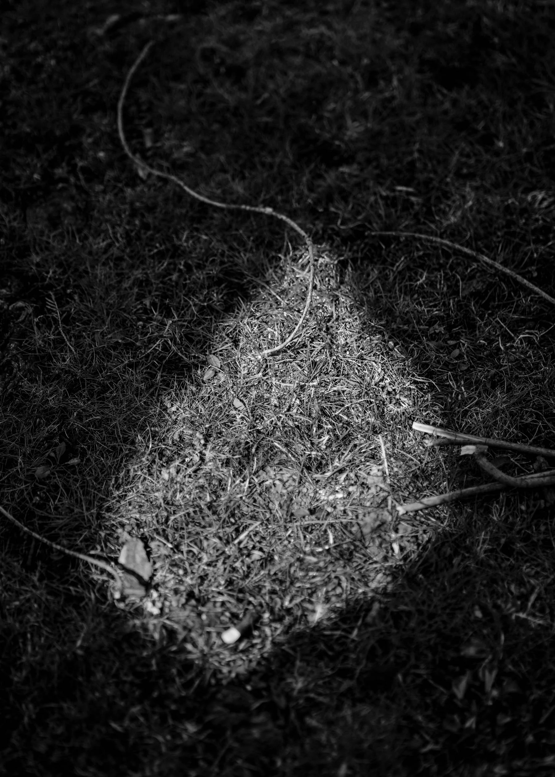 The space between - thread II by Nikolai Marcinowski...