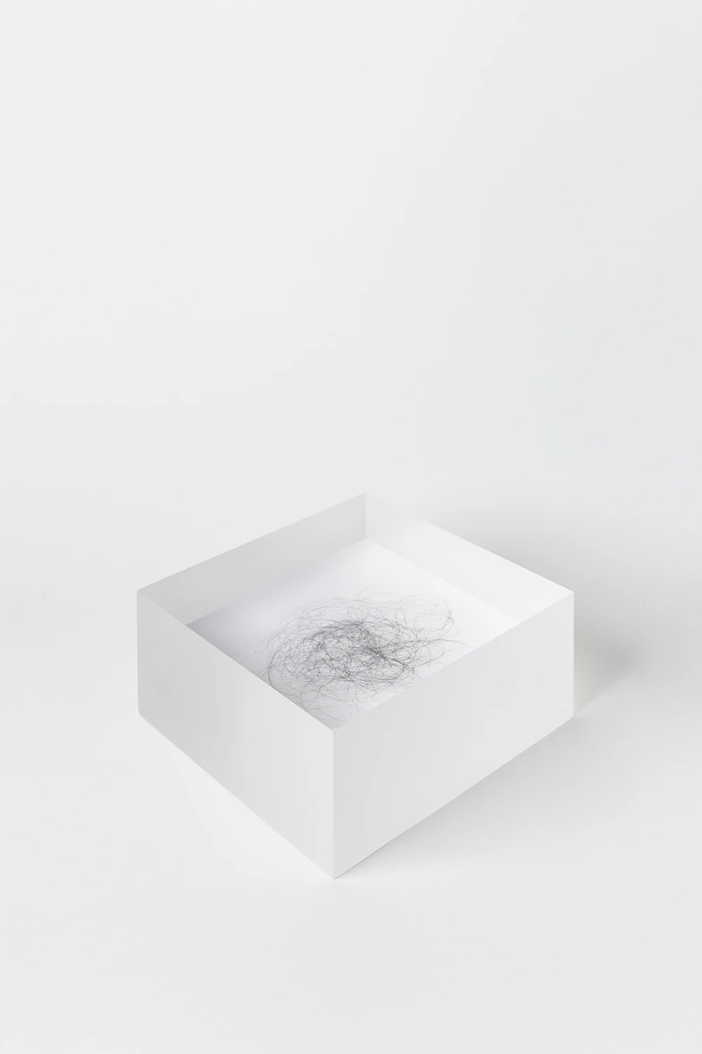 Worry about Moisture Escaping the Fruit by Daphne van de Velde...