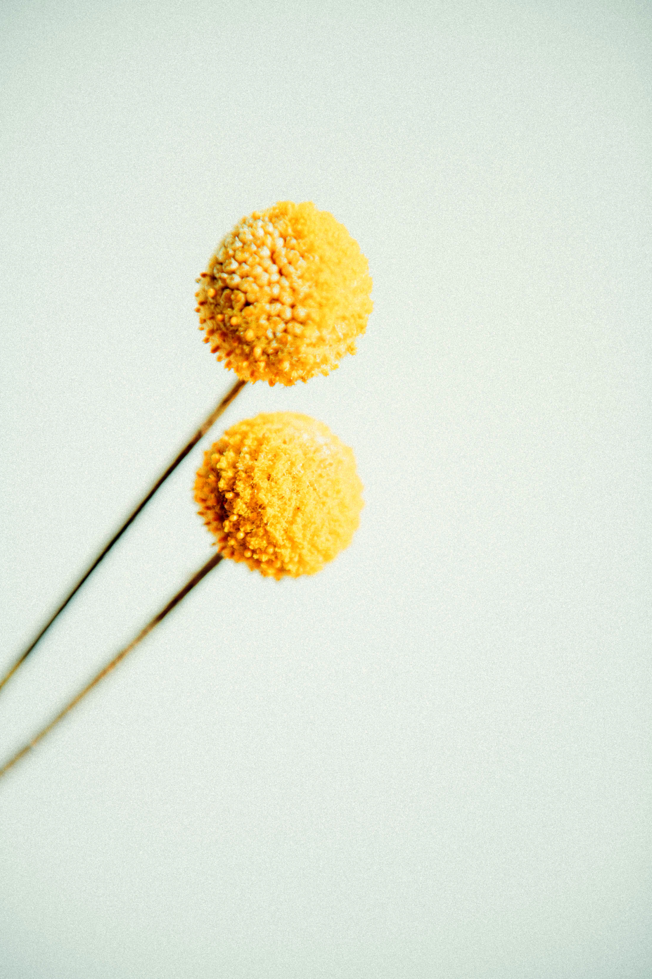 self-care by Melanie Ziggel...