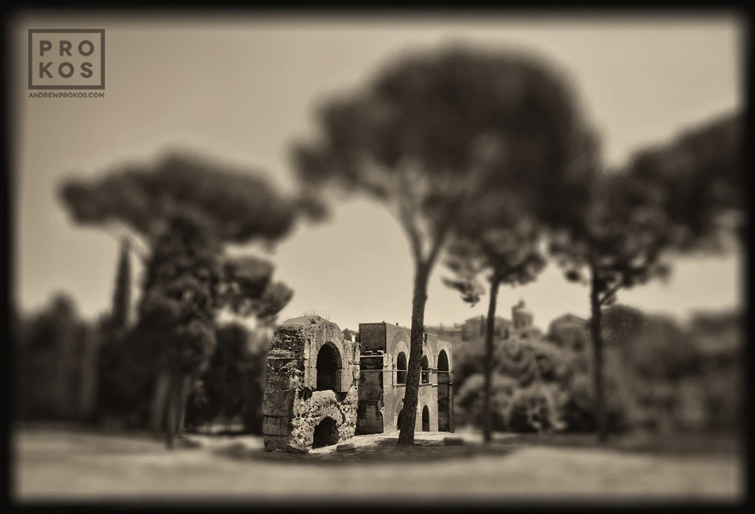 Forum Romanum by Andrew Prokos...