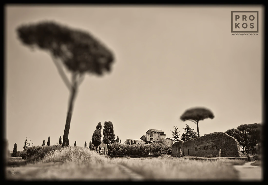 Forum Romanum by Andrew Prokos...