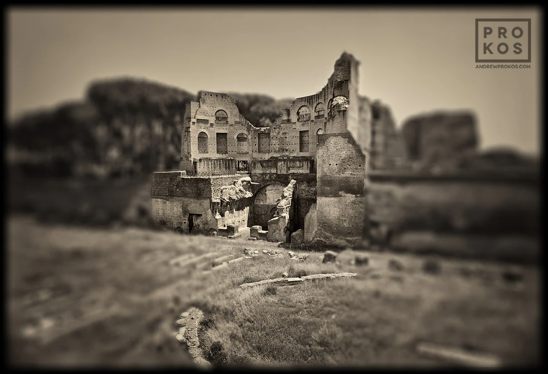 Forum Romanum by Andrew Prokos...