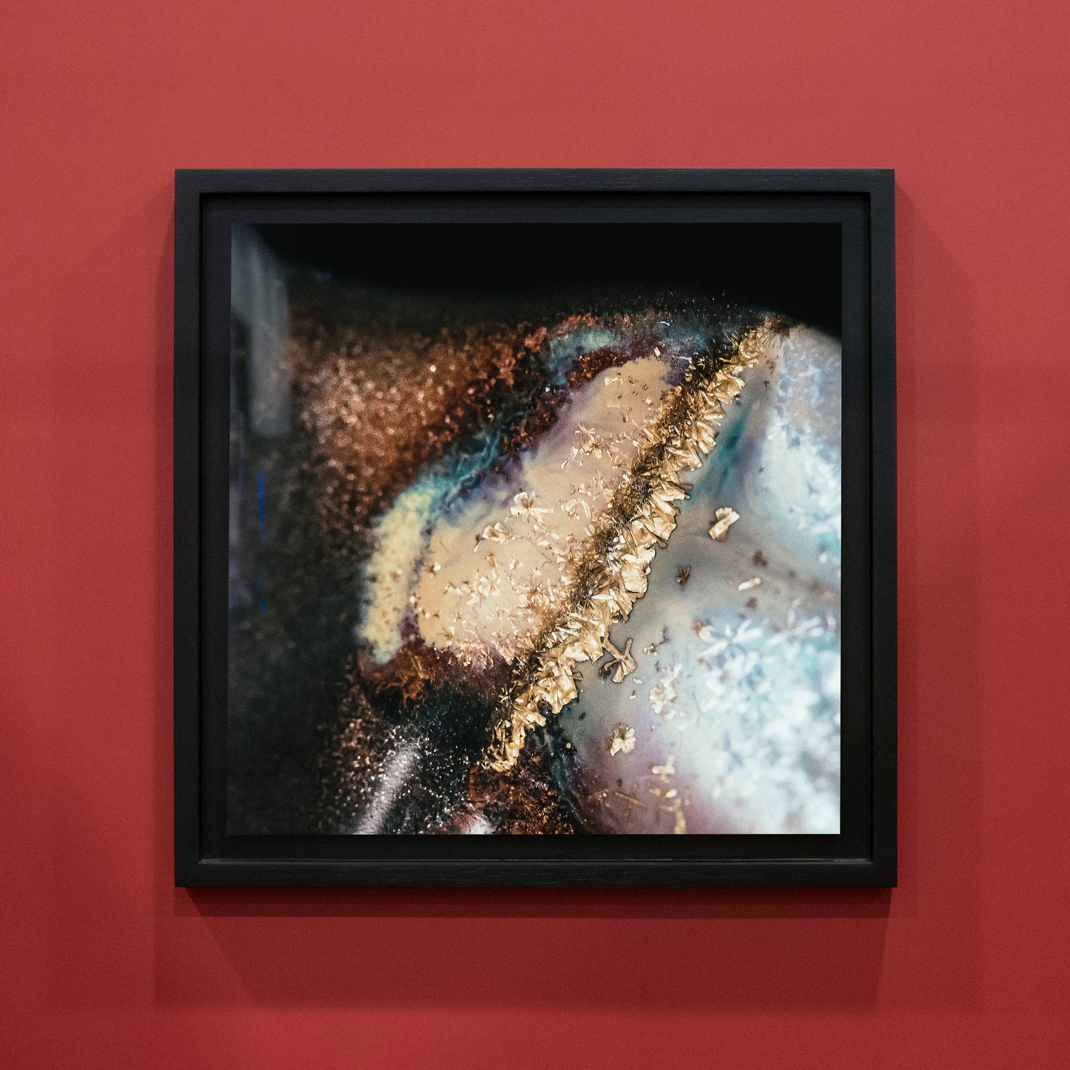 La transmutación del último ente (The transmutation of the last being) by Iván Hoyos Freyre...