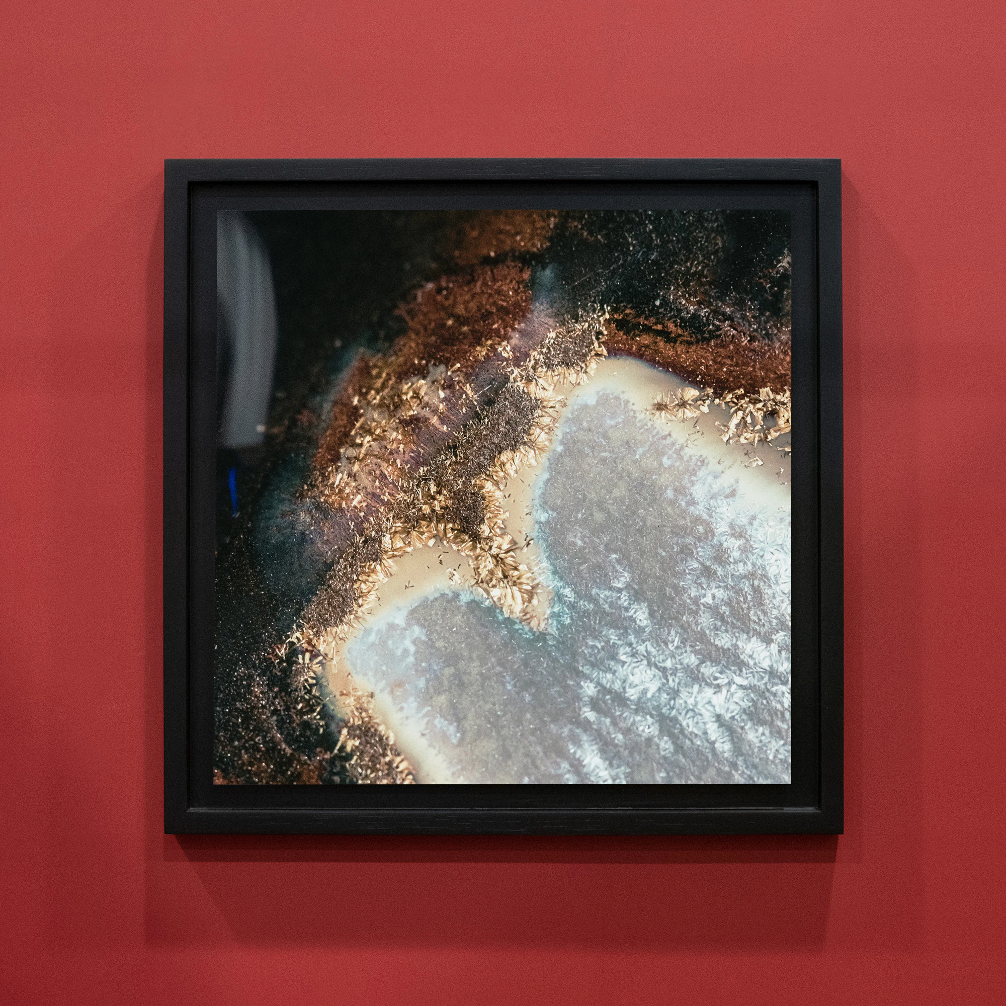 La transmutación del último ente (The transmutation of the last being) by Iván Hoyos Freyre...