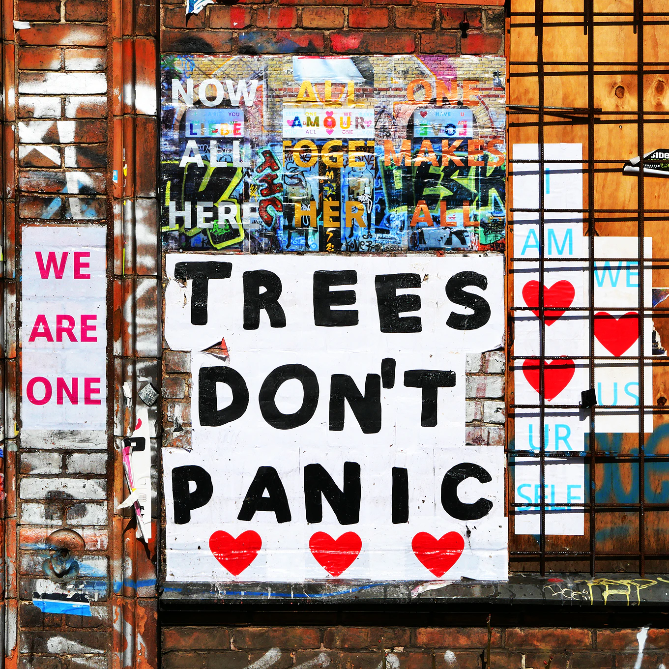 TREES DON'T PANIC | I AM LOVE URSELF