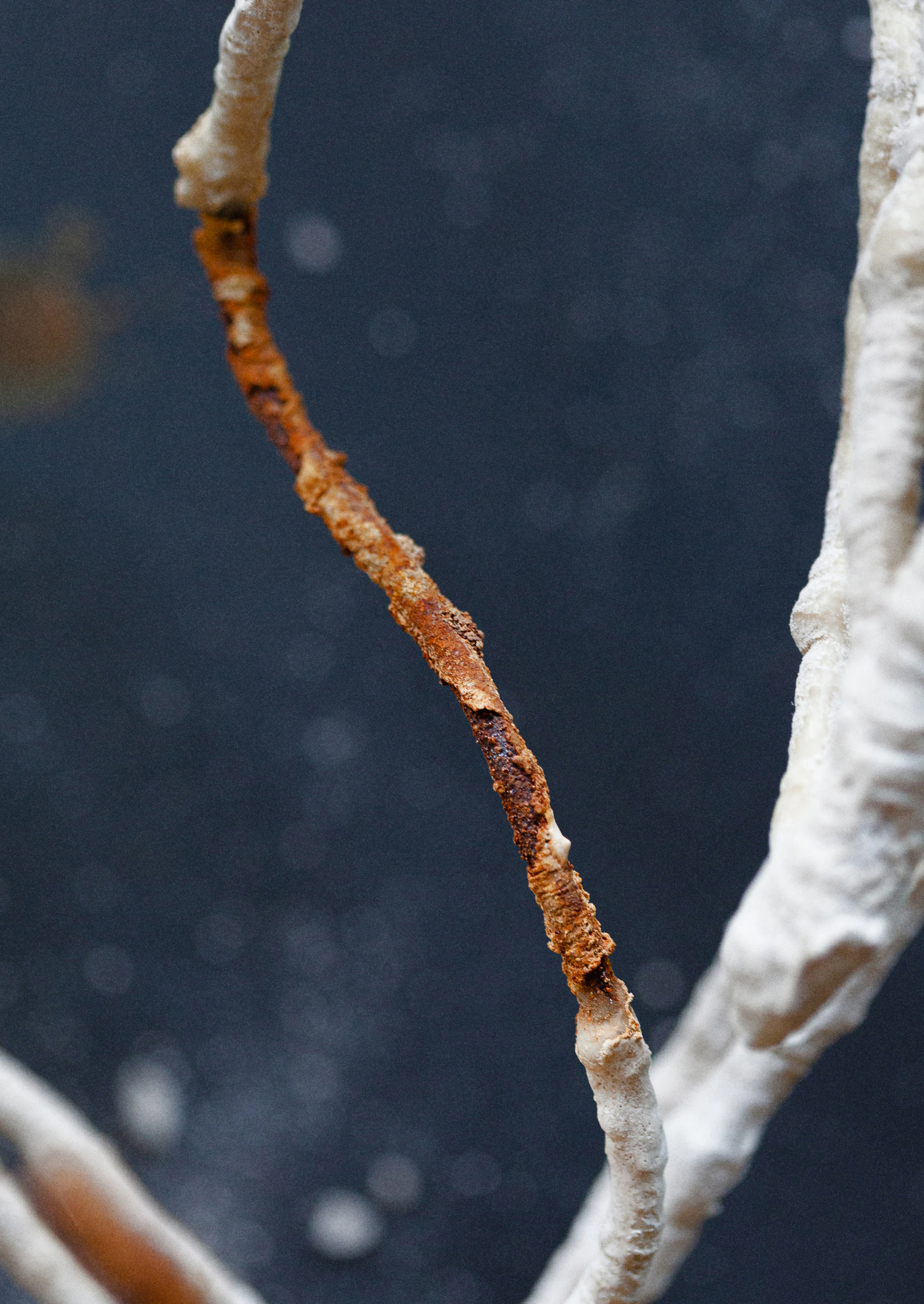 What Remains II by Helena Perminger...