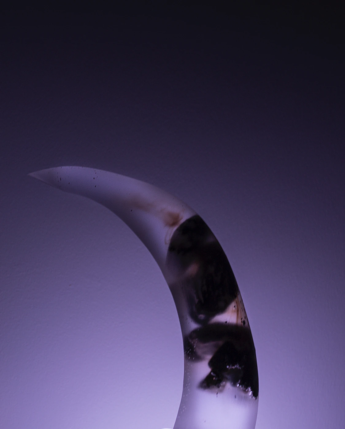 Sonic - A snack of cosmic proportions by Dia Muñoz...