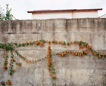 Unobtainable rest, a photographic essay