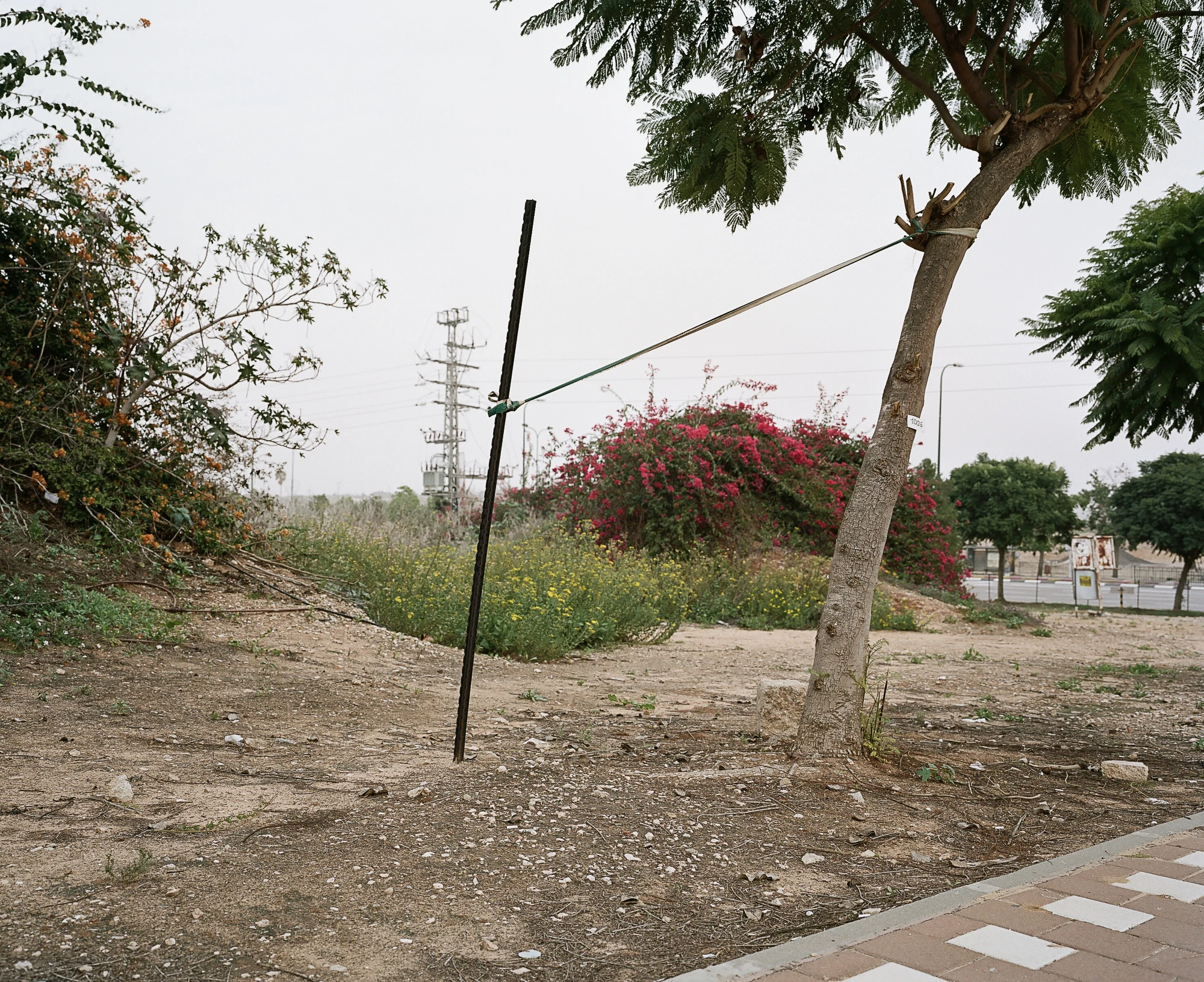 Unobtainable rest, a photographic essay by David Leshem...