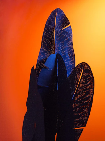 Leaves and Light