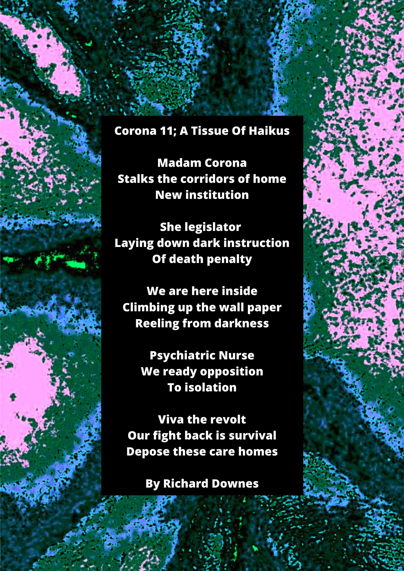 Dread Rhymes In A Time of Chaos by Richard Downes + Charlet Wilson...