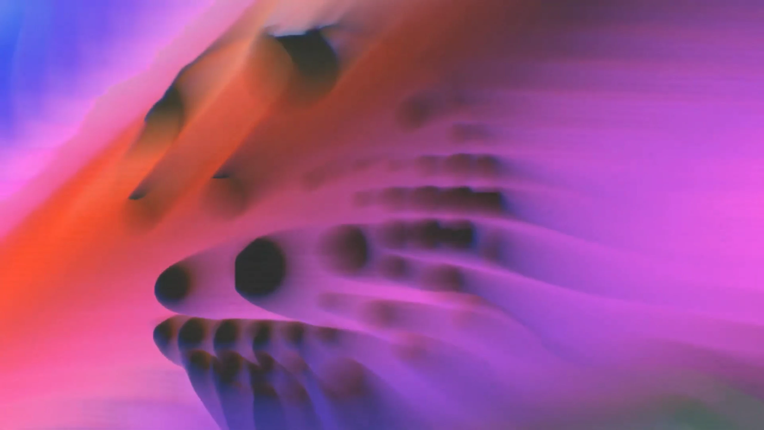 Dustria by Allison Tanenhaus...