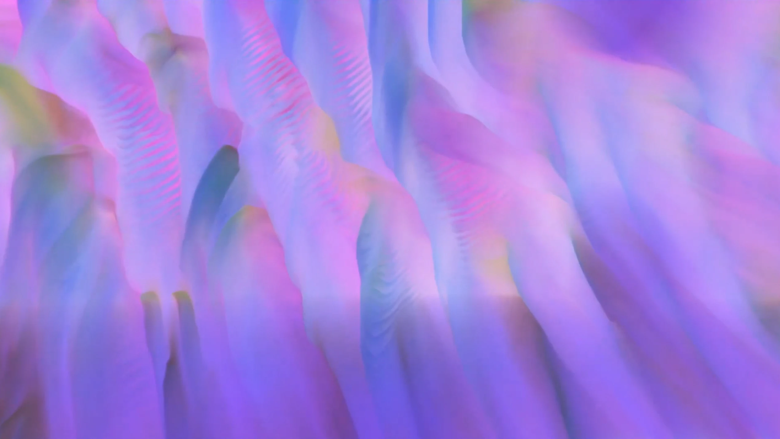 Dustria by Allison Tanenhaus...