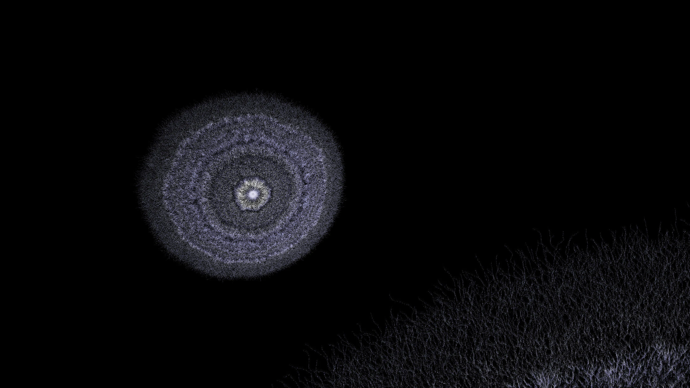 Sound for Fungi. Homage to Indeterminacy by Theresa Schubert...