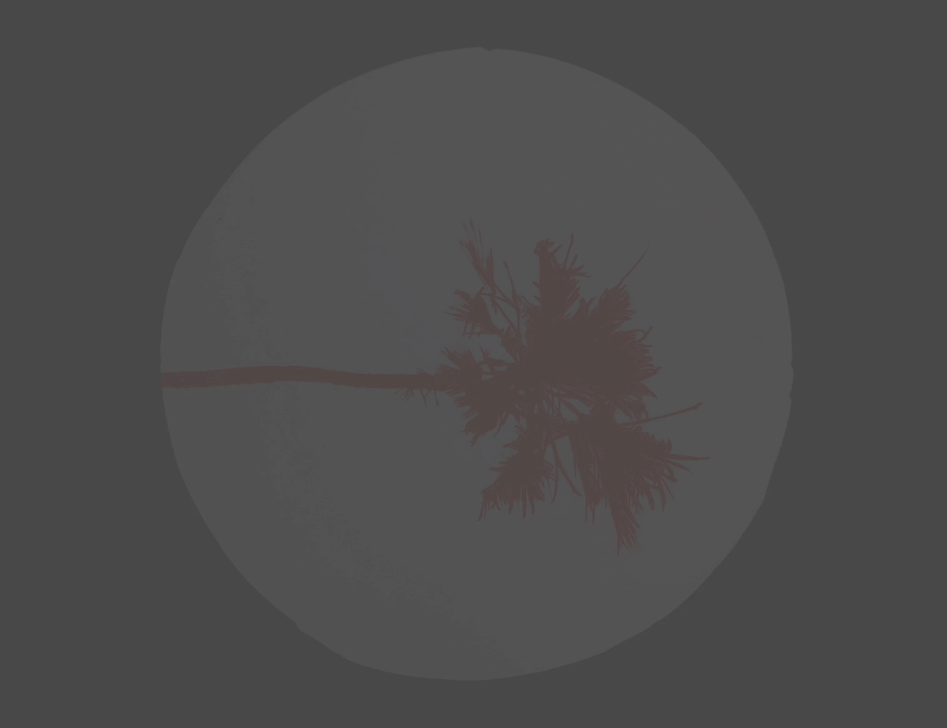 ⬤6h by Katia Roessel...