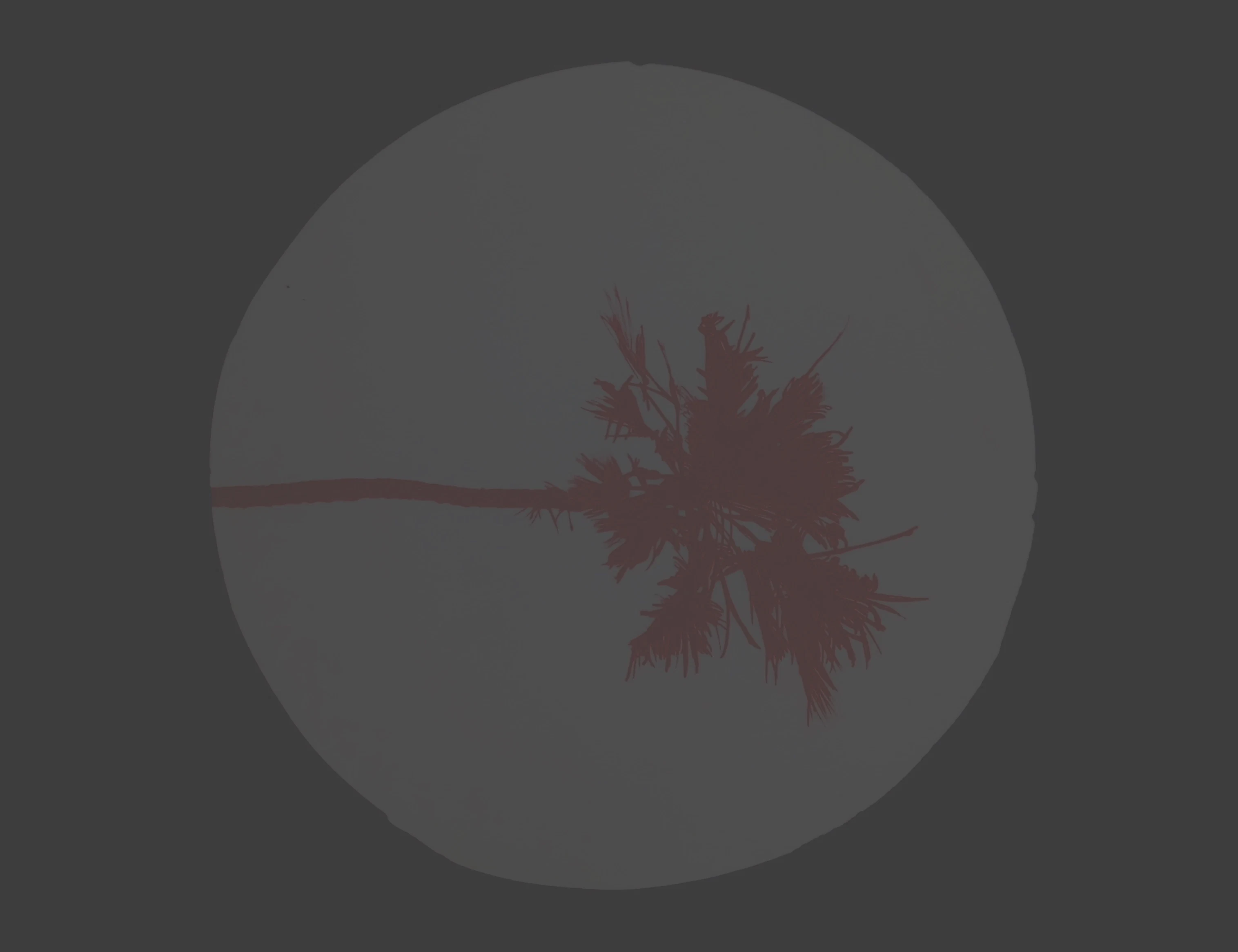 ⬤6h by Katia Roessel...