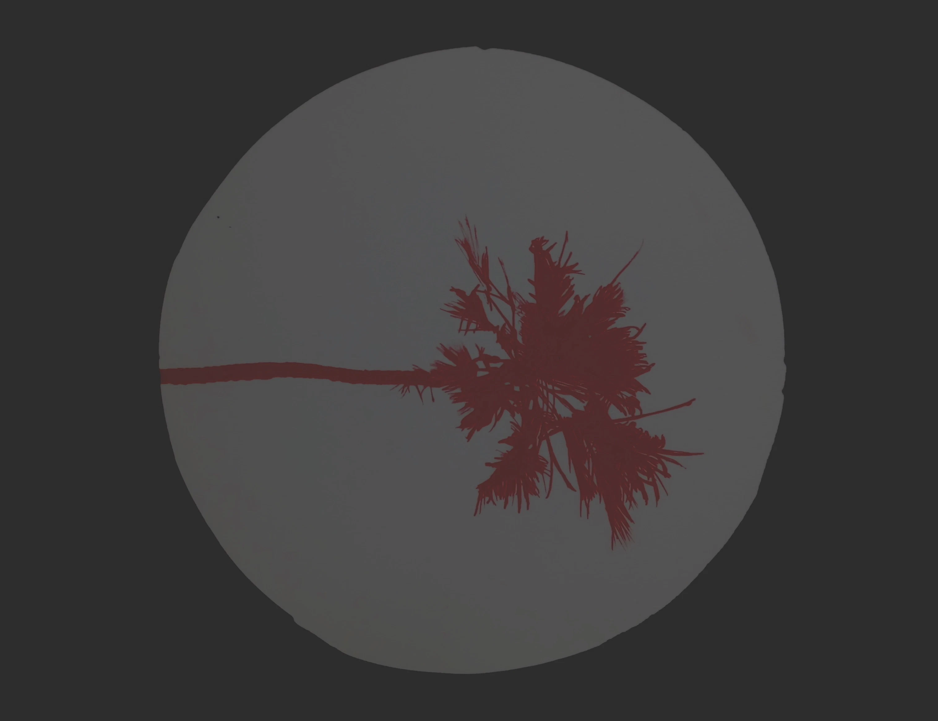 ⬤6h by Katia Roessel...
