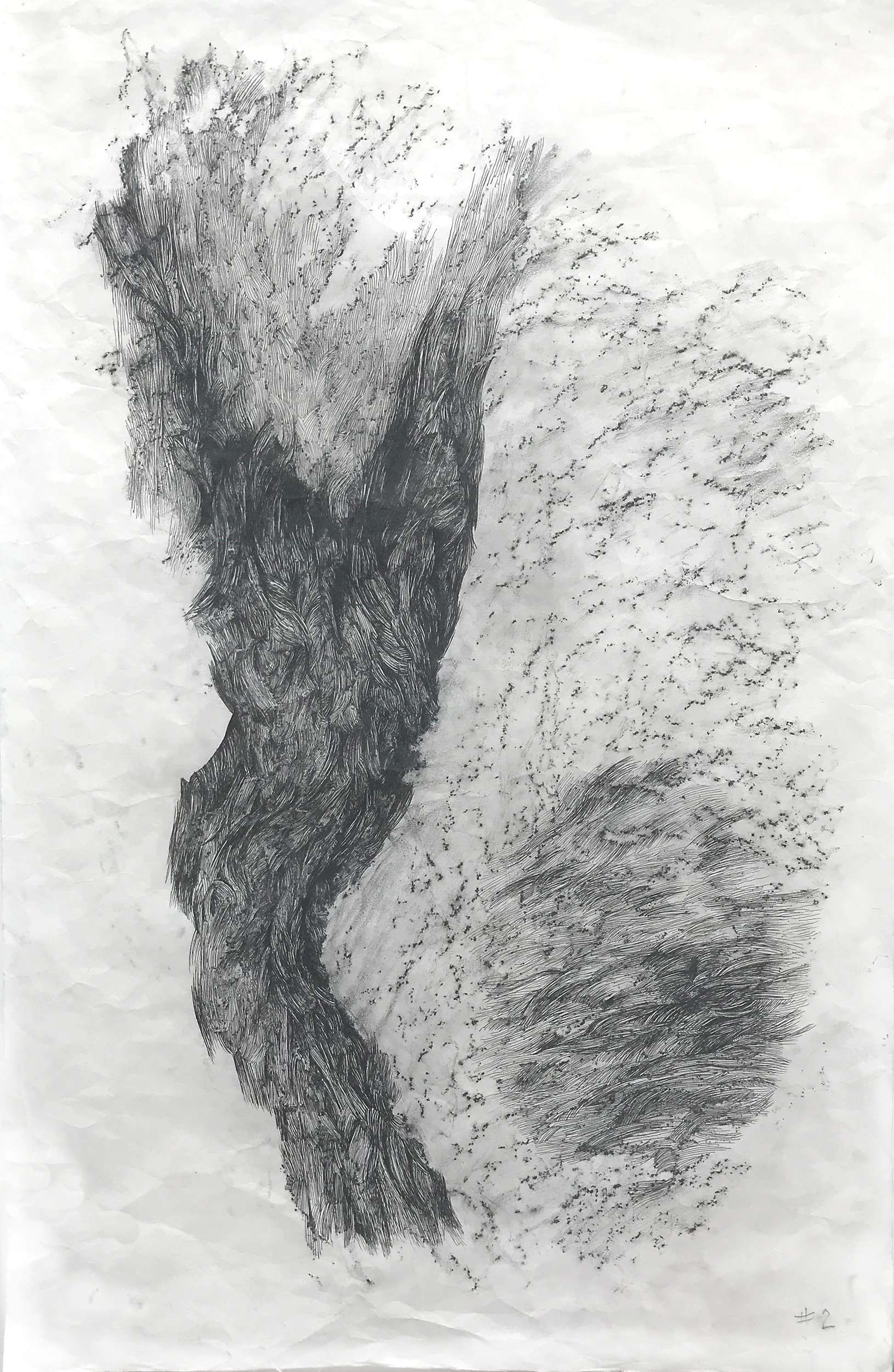 Ink and Graphite: A suite of drawings