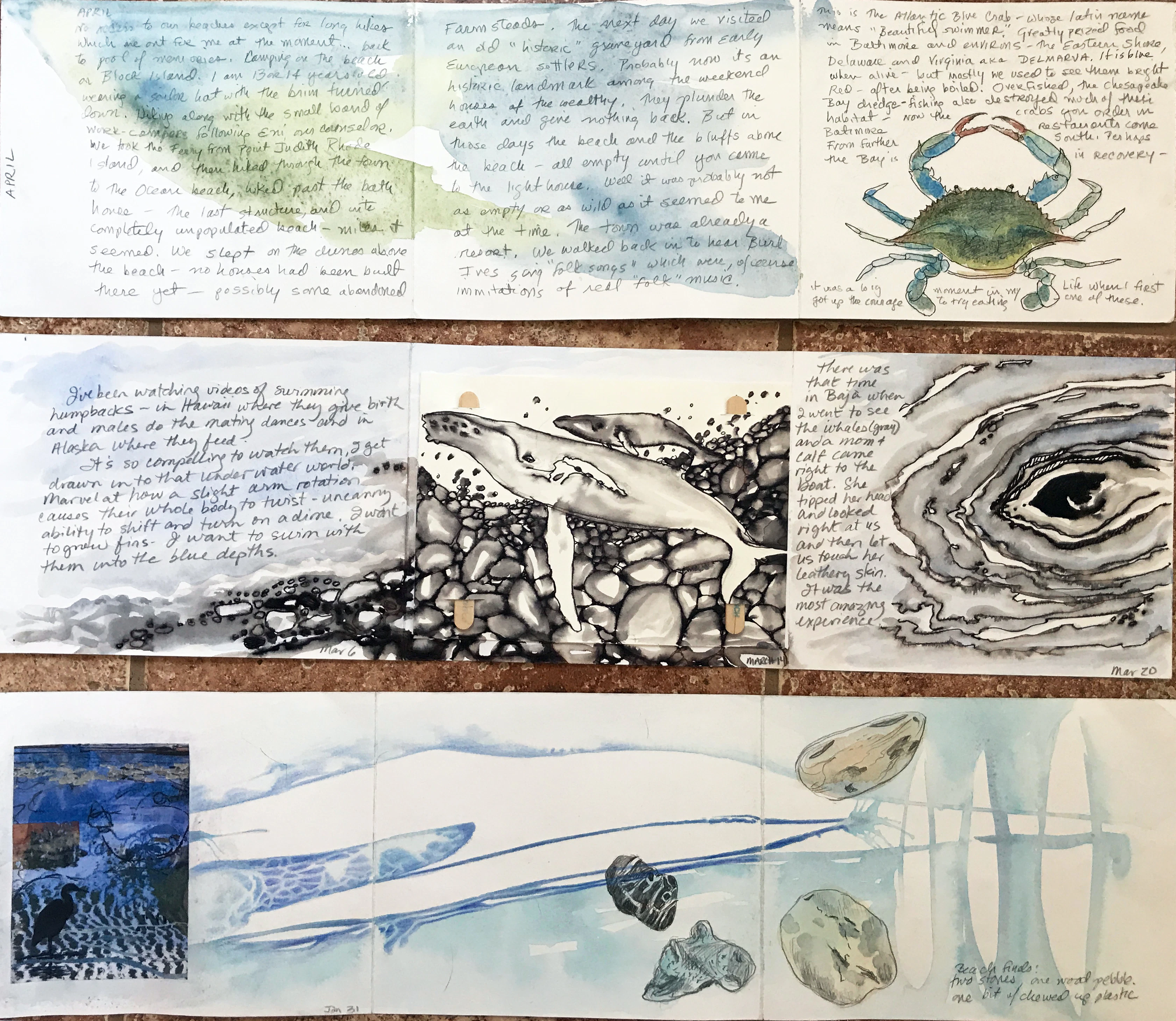 Ocean Diaries / Correspondence Project