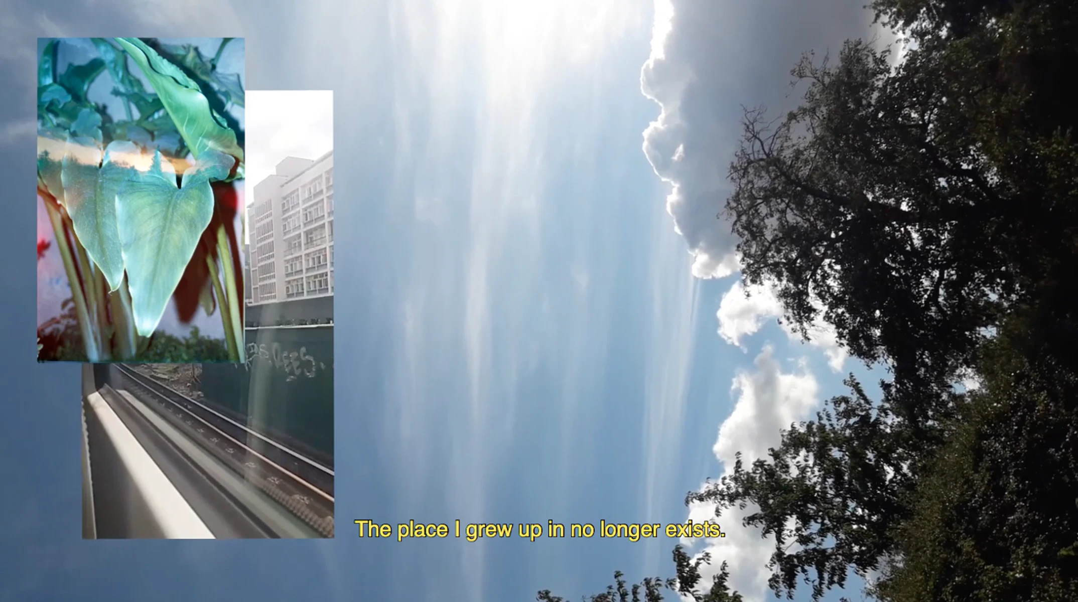 No Distance - A film by Patricio Alfaro & Fiorella Angelini by Fiorella Angelini...