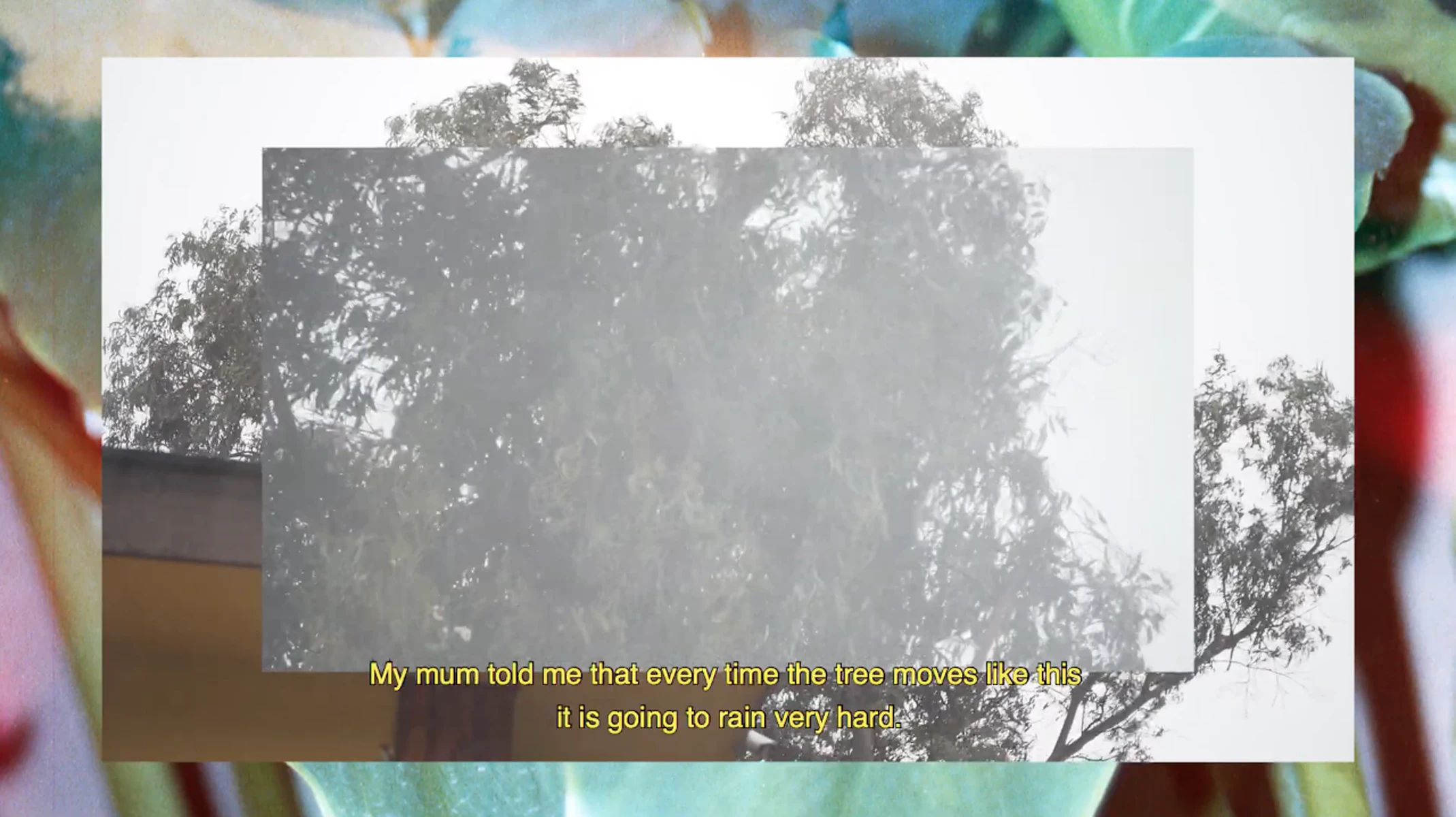 No Distance - A film by Patricio Alfaro & Fiorella Angelini by Fiorella Angelini...