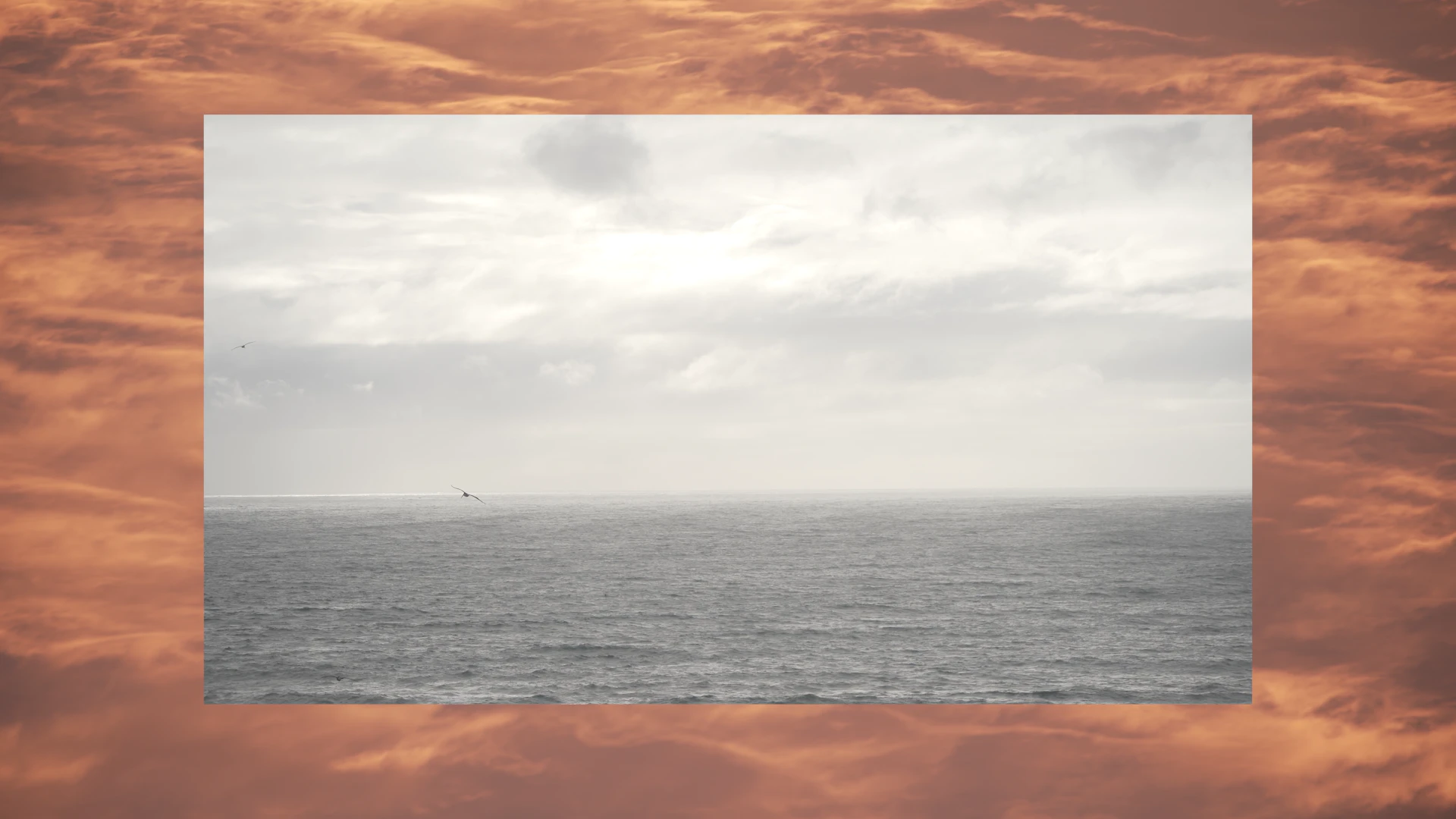 No Distance - A film by Patricio Alfaro & Fiorella Angelini by Fiorella Angelini...