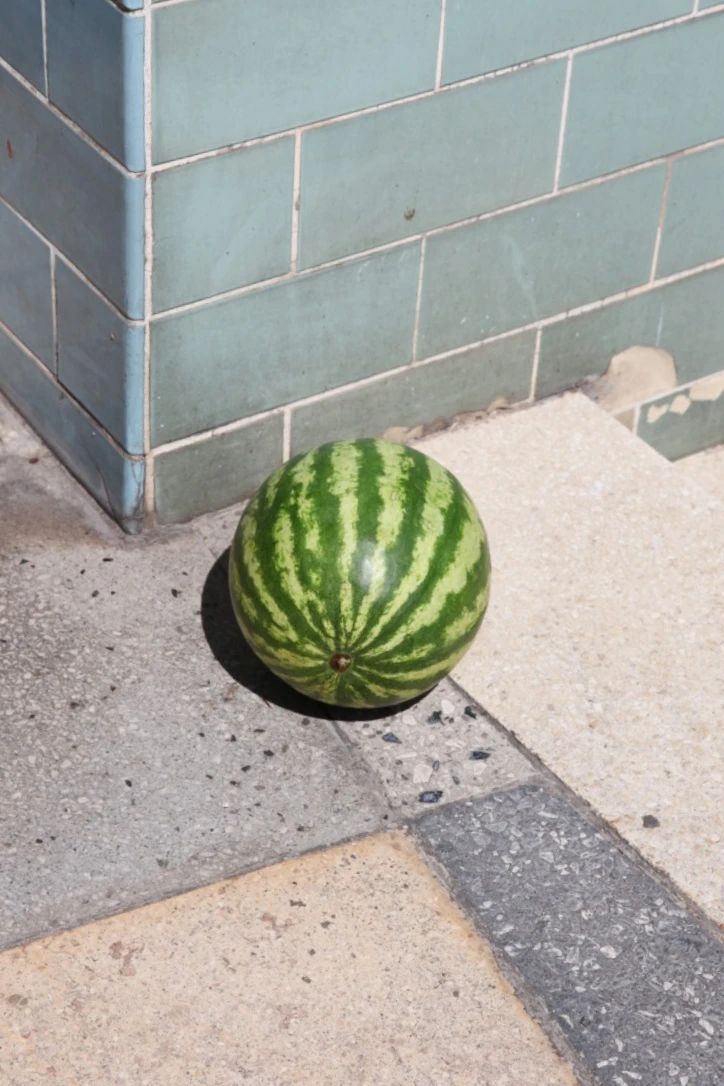 Melon by Katharina Siegel...