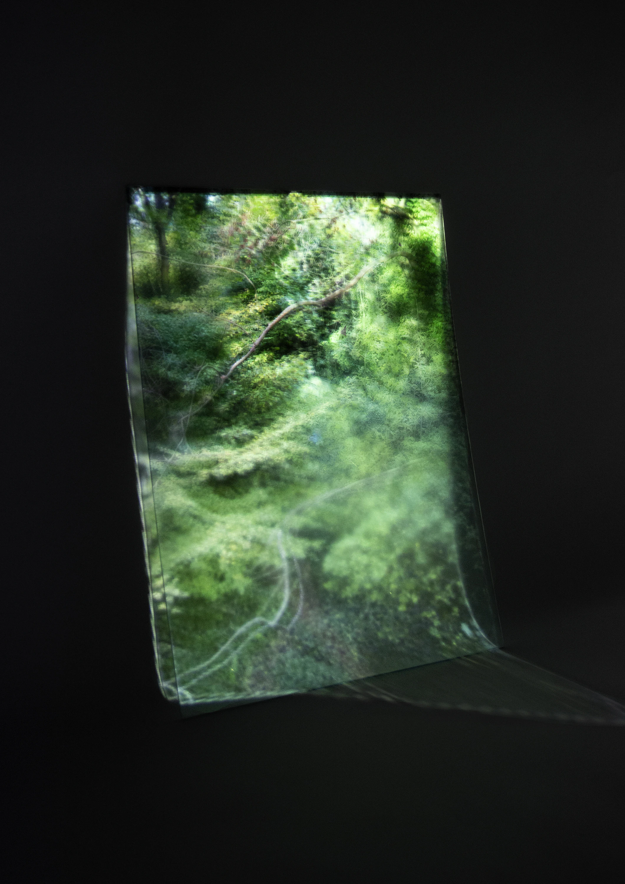 Everything I see is true by Maria Makridis...