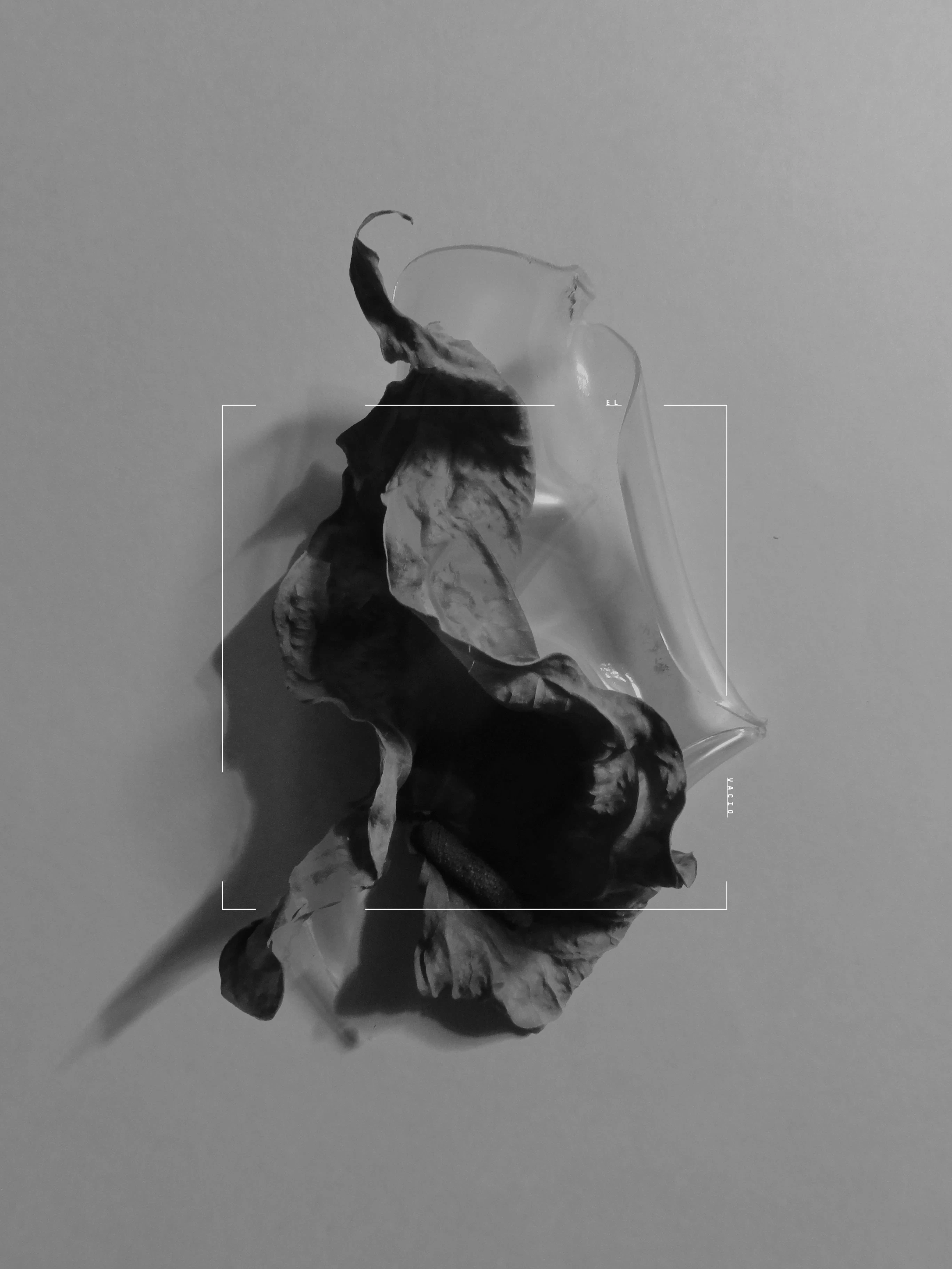visual poetry by francisco zarate...