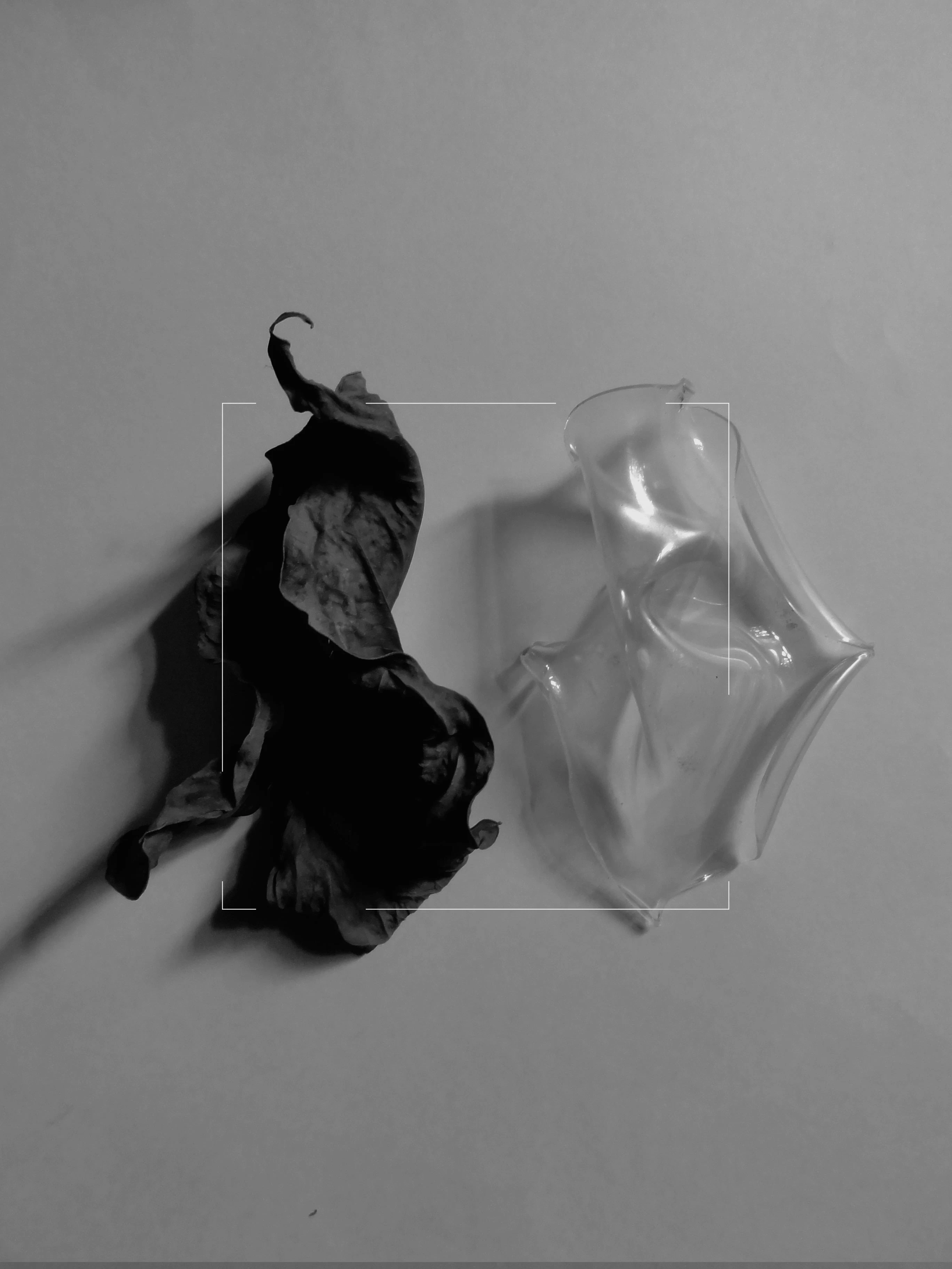 visual poetry by francisco zarate...