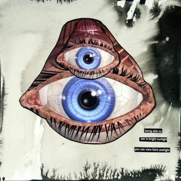 Collage Work 2018-2020
