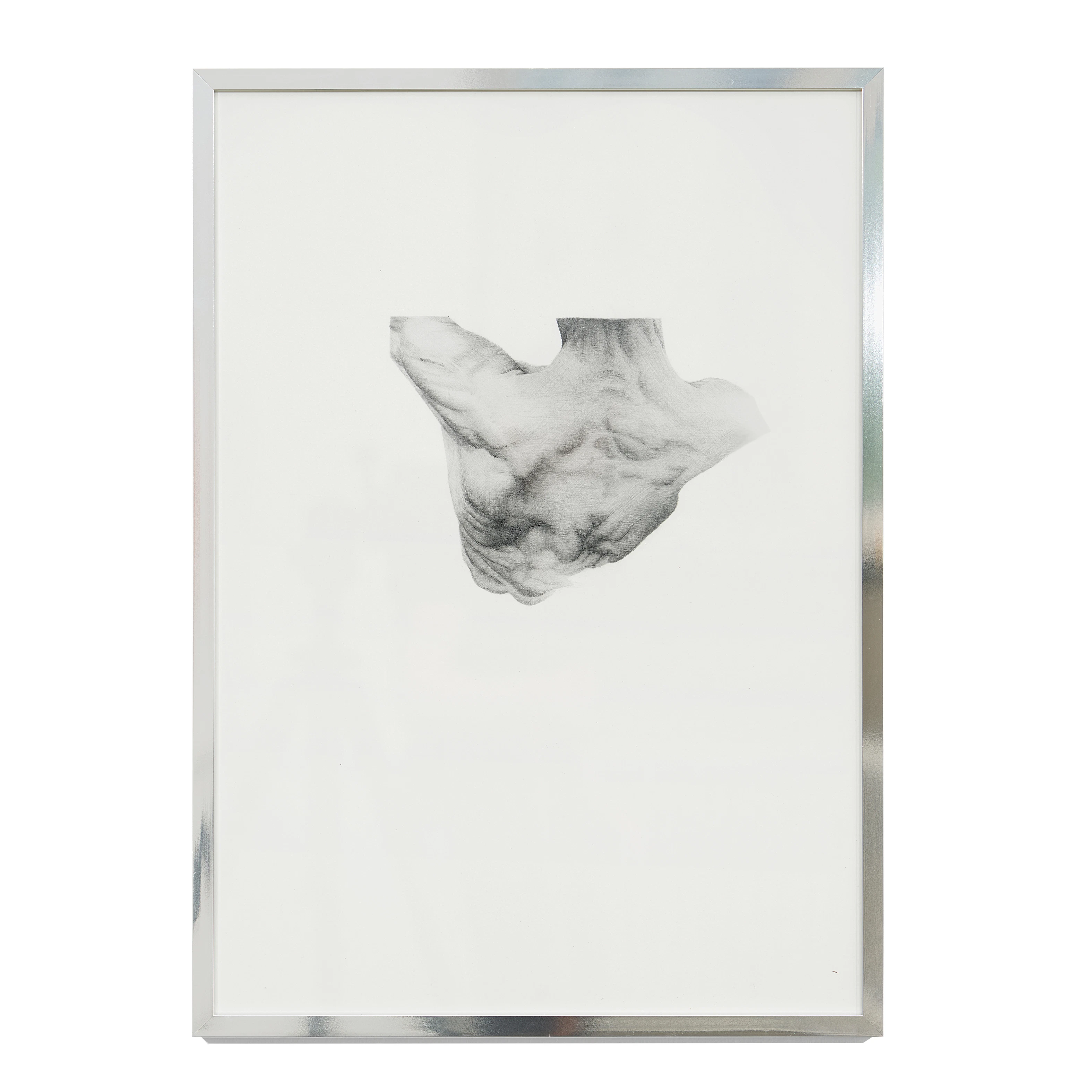 Manta Manta by lisa götze...