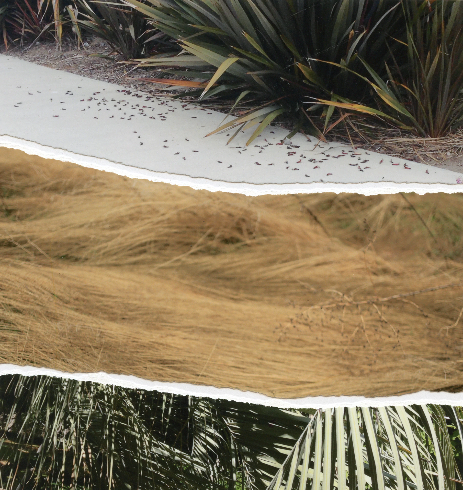 Other Landscapes by Viviana Martinez Carlos...