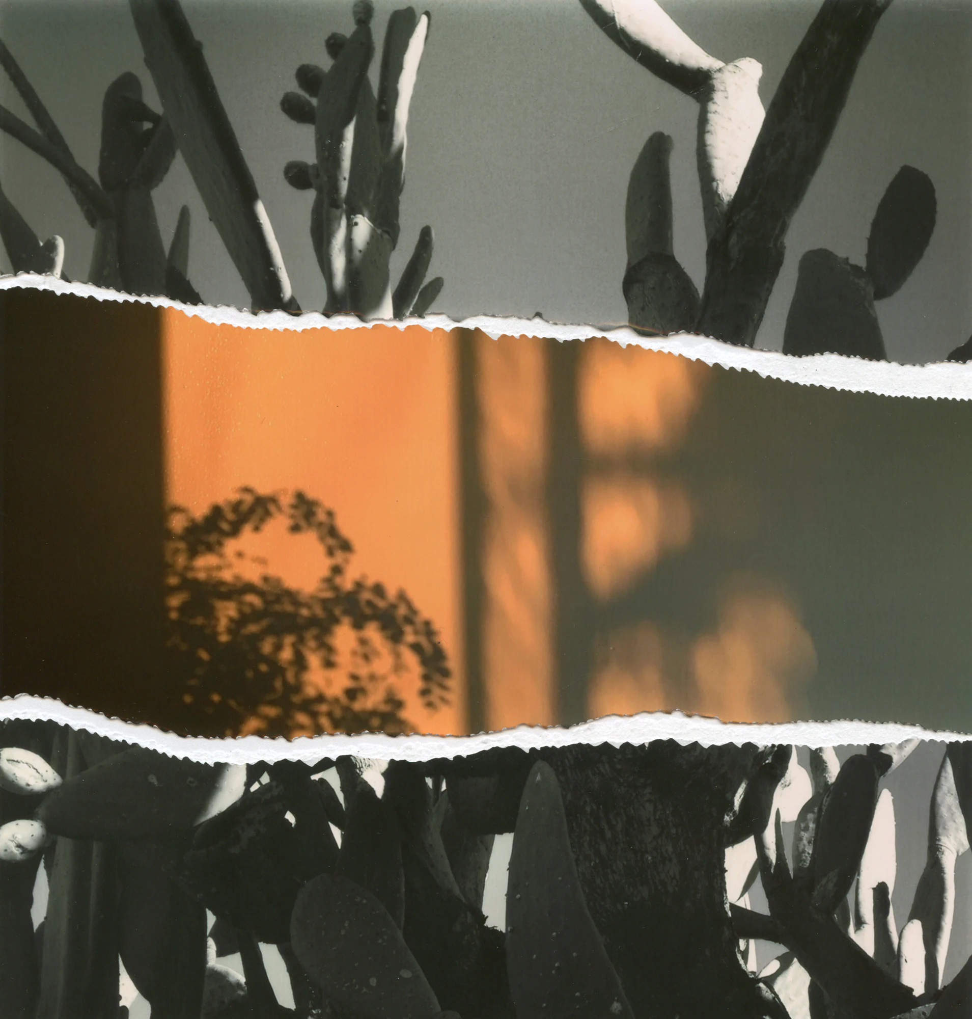 Other Landscapes by Viviana Martinez Carlos...
