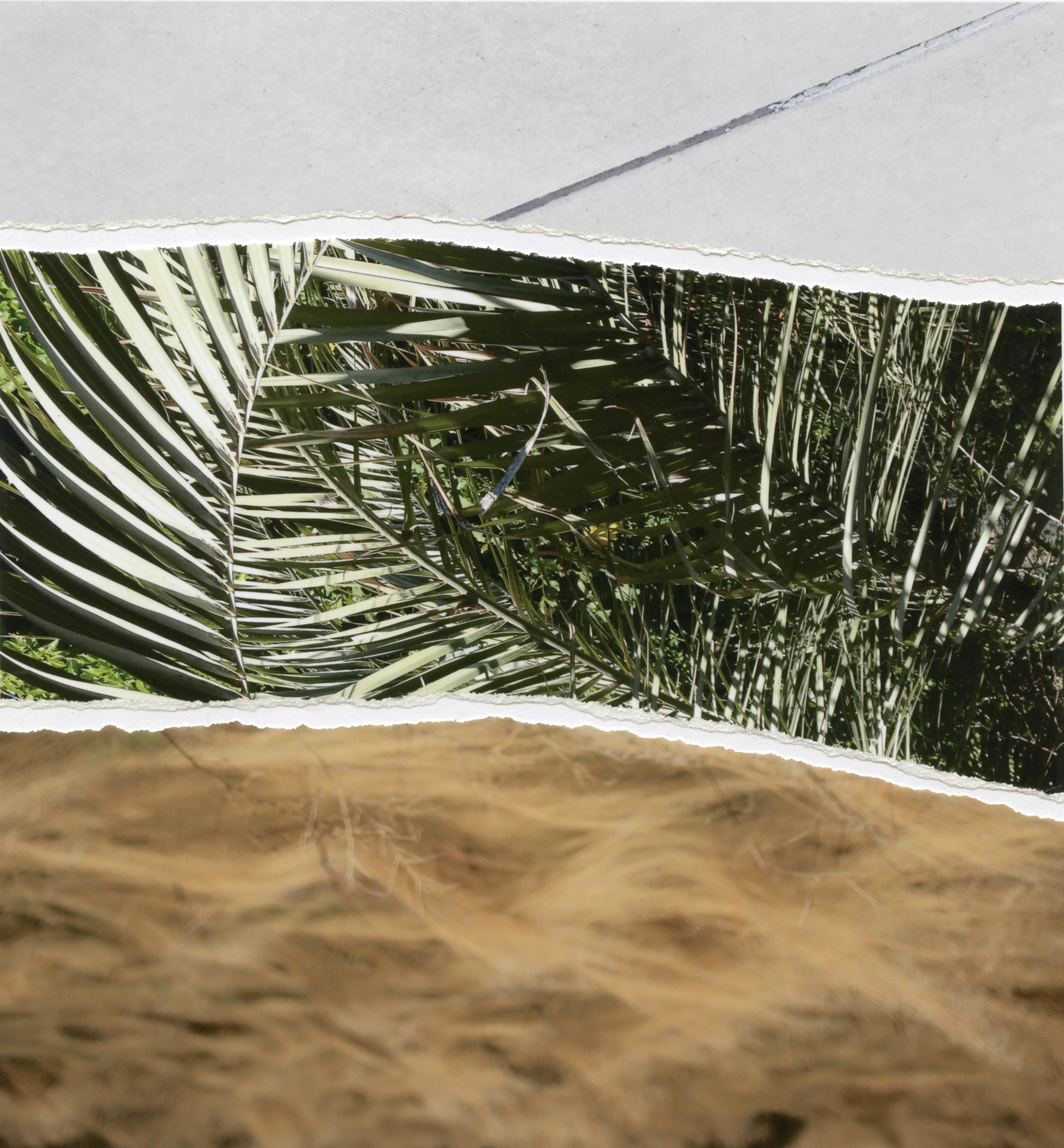 Other Landscapes by Viviana Martinez Carlos...