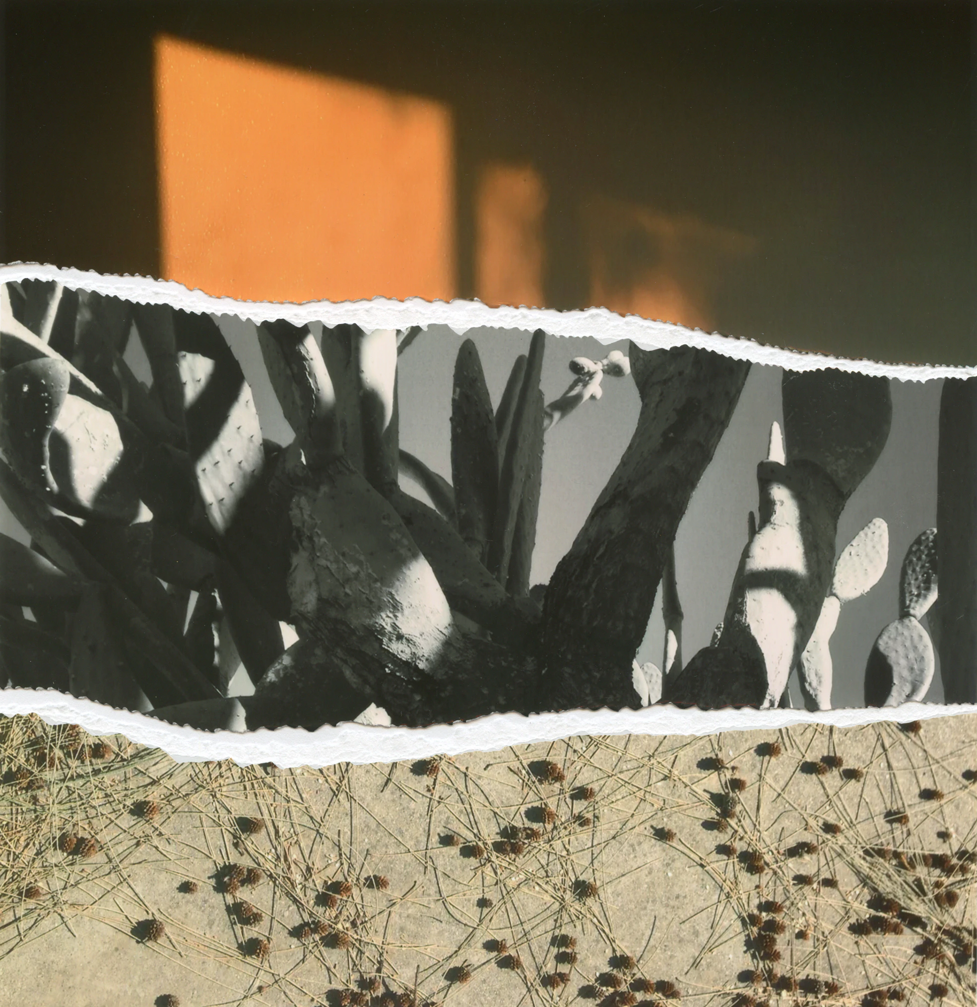 Other Landscapes by Viviana Martinez Carlos...