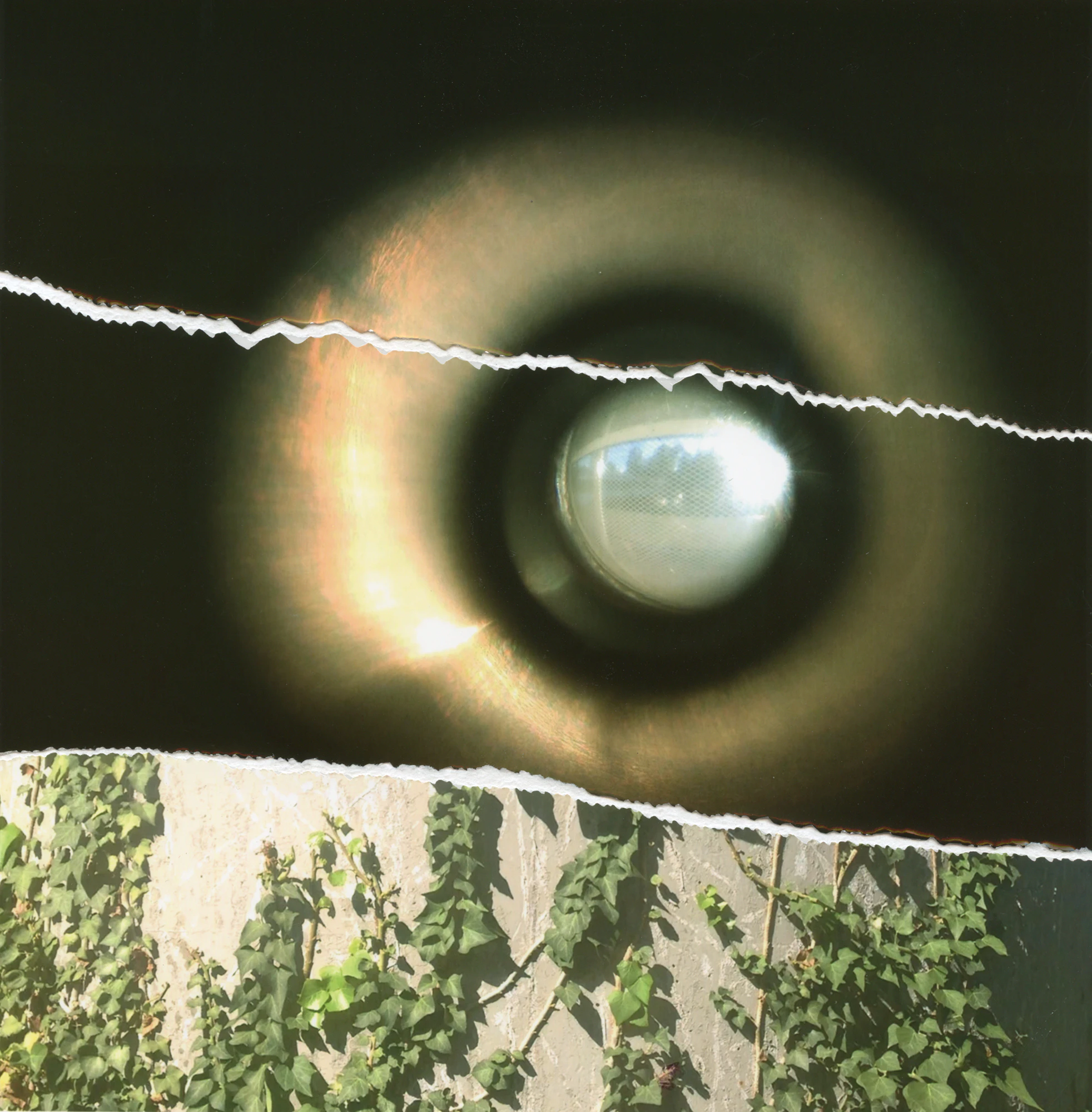 Other Landscapes by Viviana Martinez Carlos...